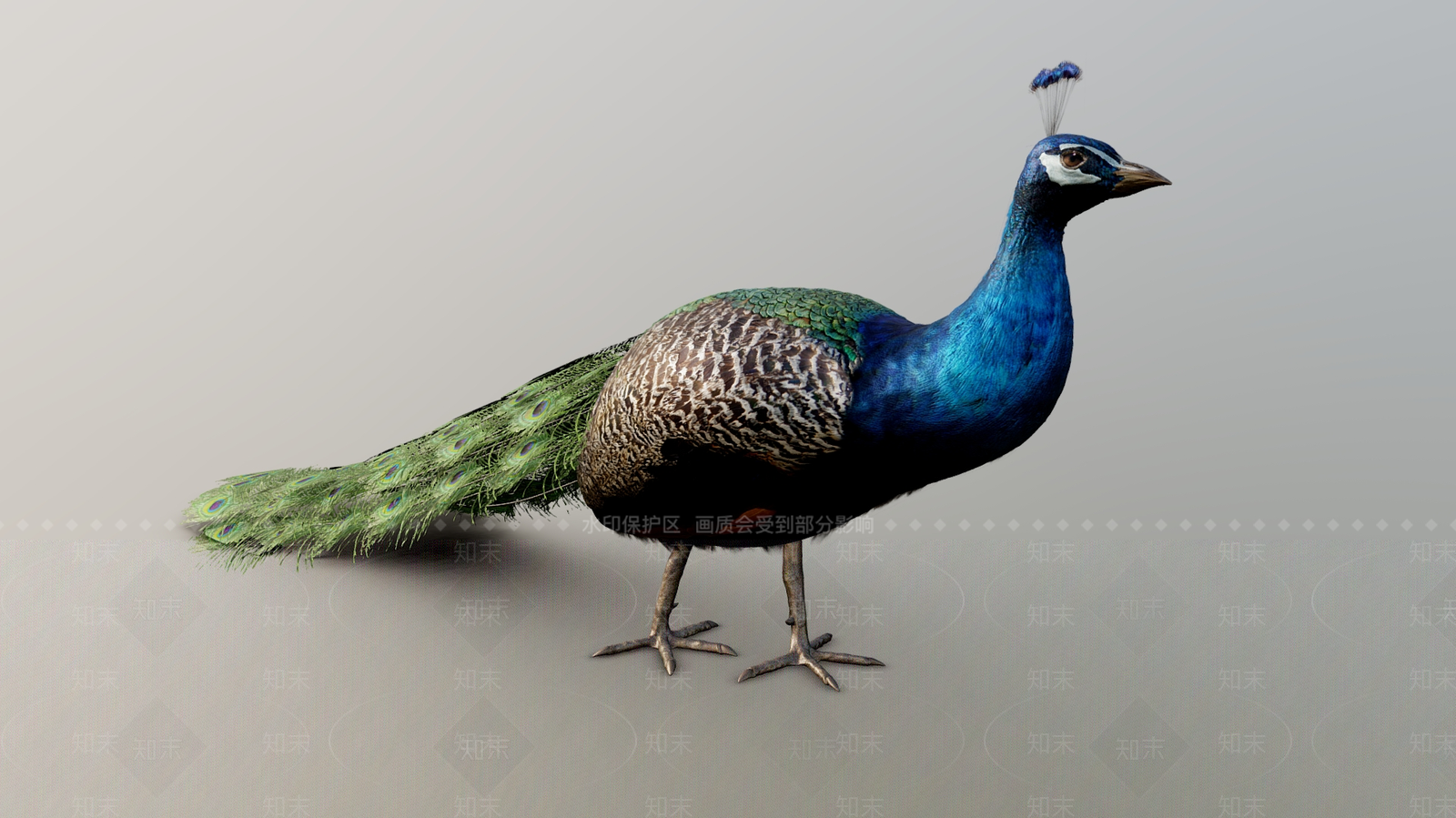 爬行类动物3D模型下载【ID:1181077236】