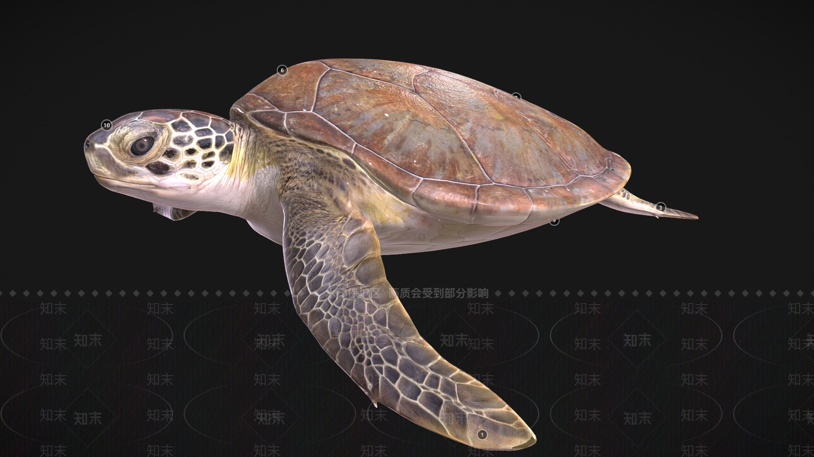 爬行类动物3D模型下载【ID:1181080716】
