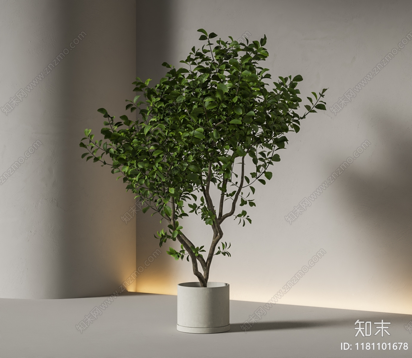 盆栽3D模型下载【ID:1181101678】