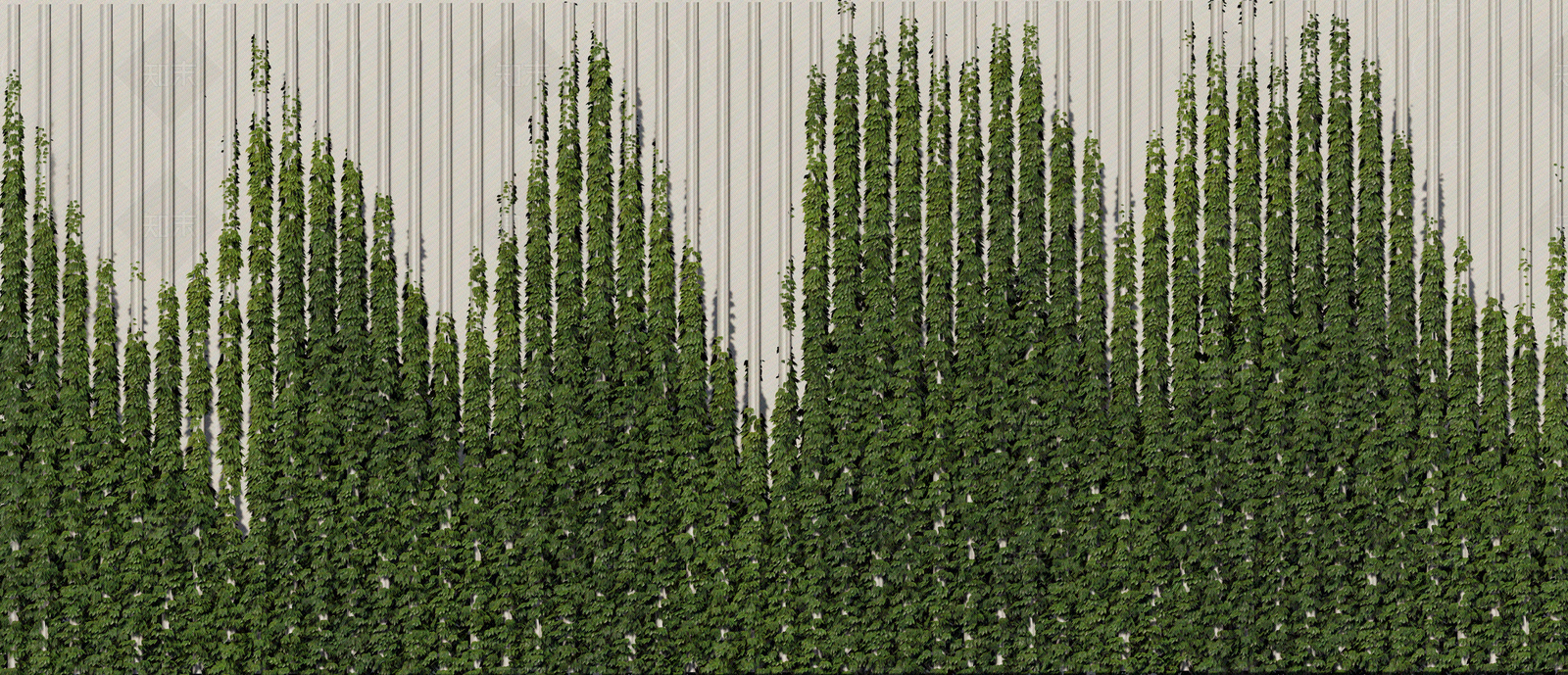 现代绿植墙贴图下载【ID:1181114871】