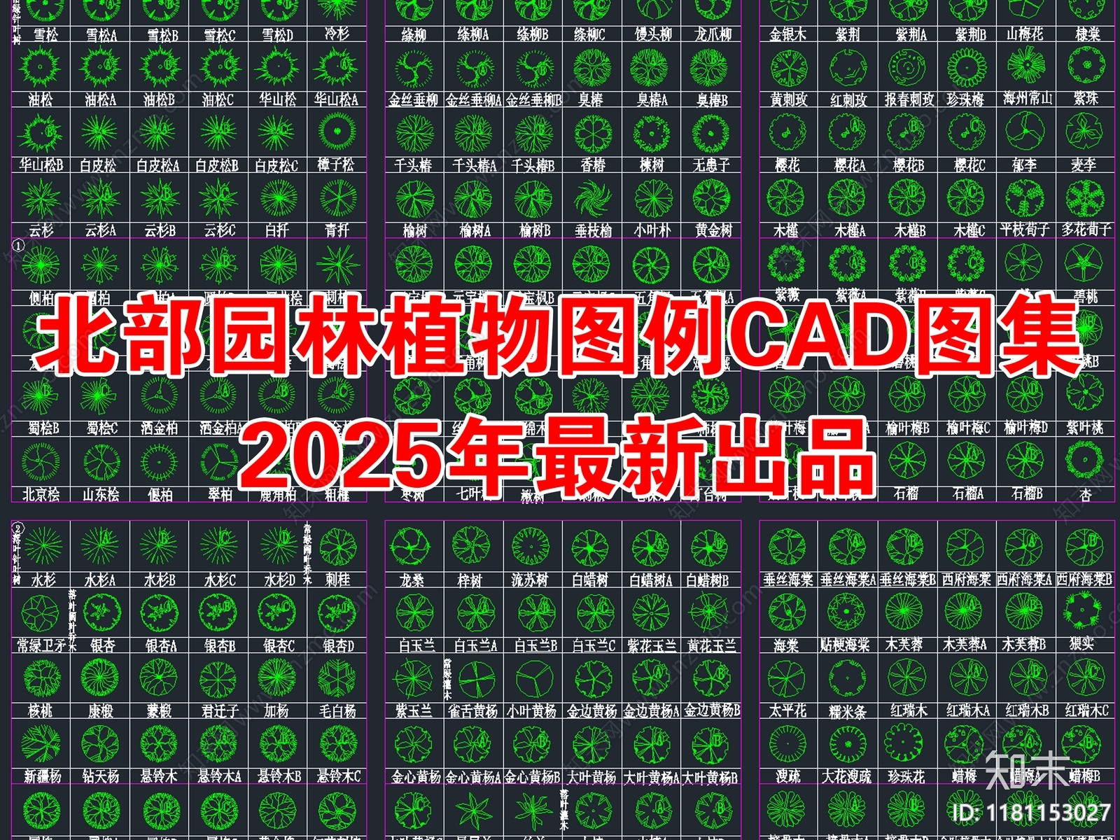 2025年最新北部园林景观植物乔木灌木植被CAD图集施工图下载【ID:1181153027】