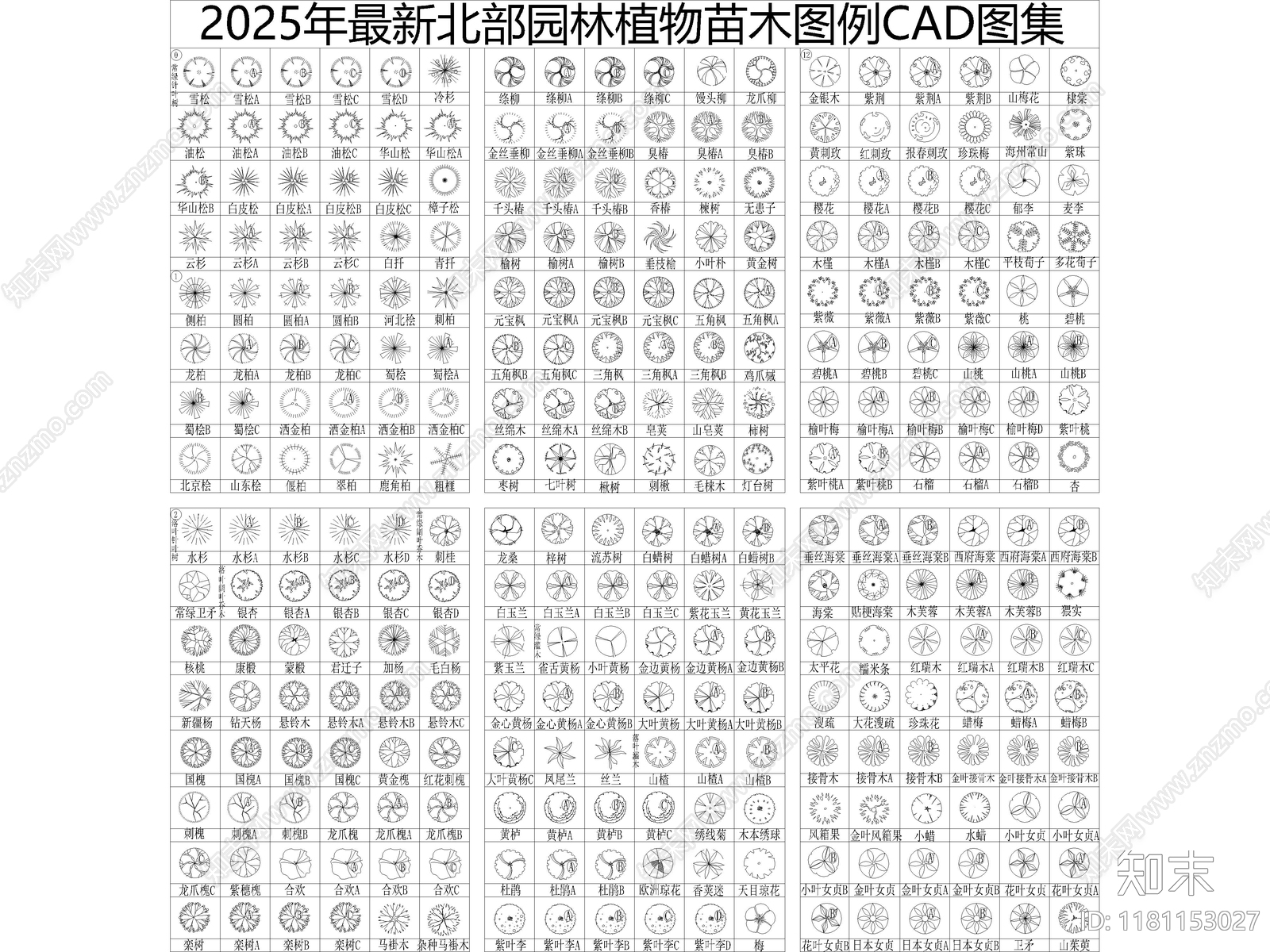 2025年最新北部园林景观植物乔木灌木植被CAD图集施工图下载【ID:1181153027】