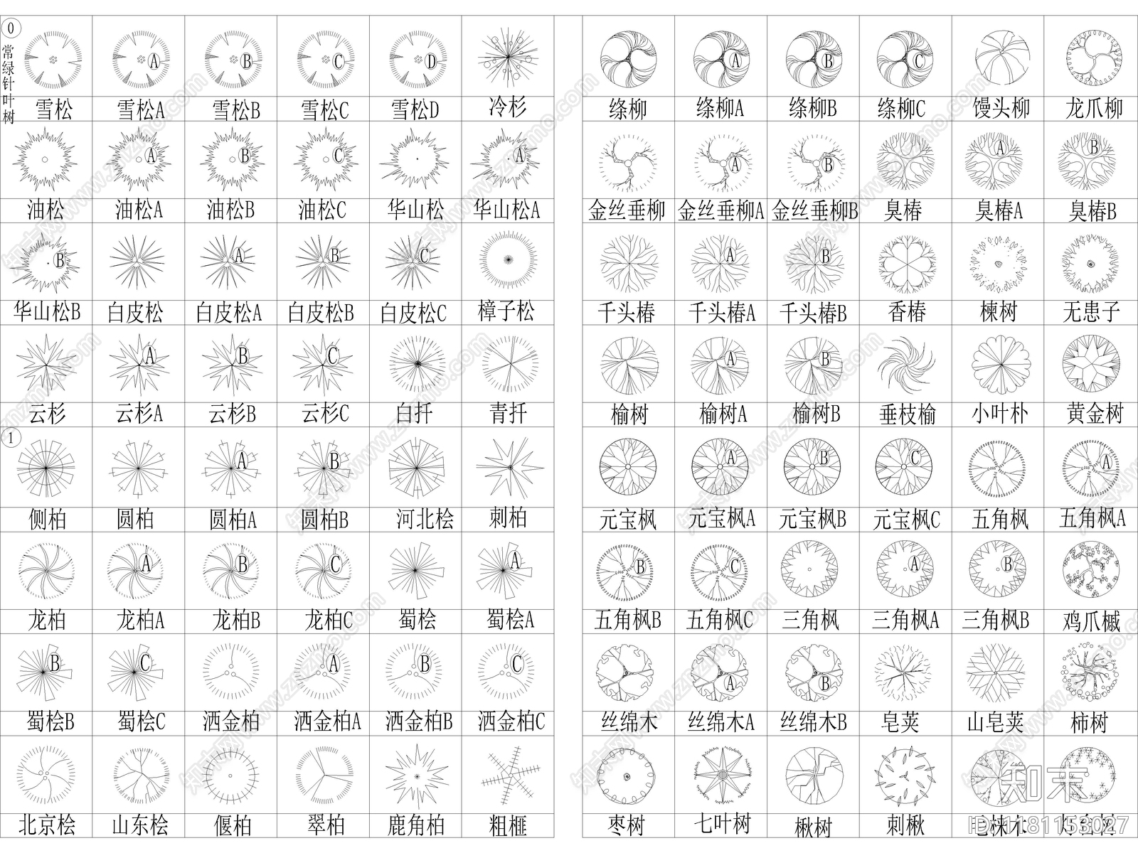 2025年最新北部园林景观植物乔木灌木植被CAD图集施工图下载【ID:1181153027】