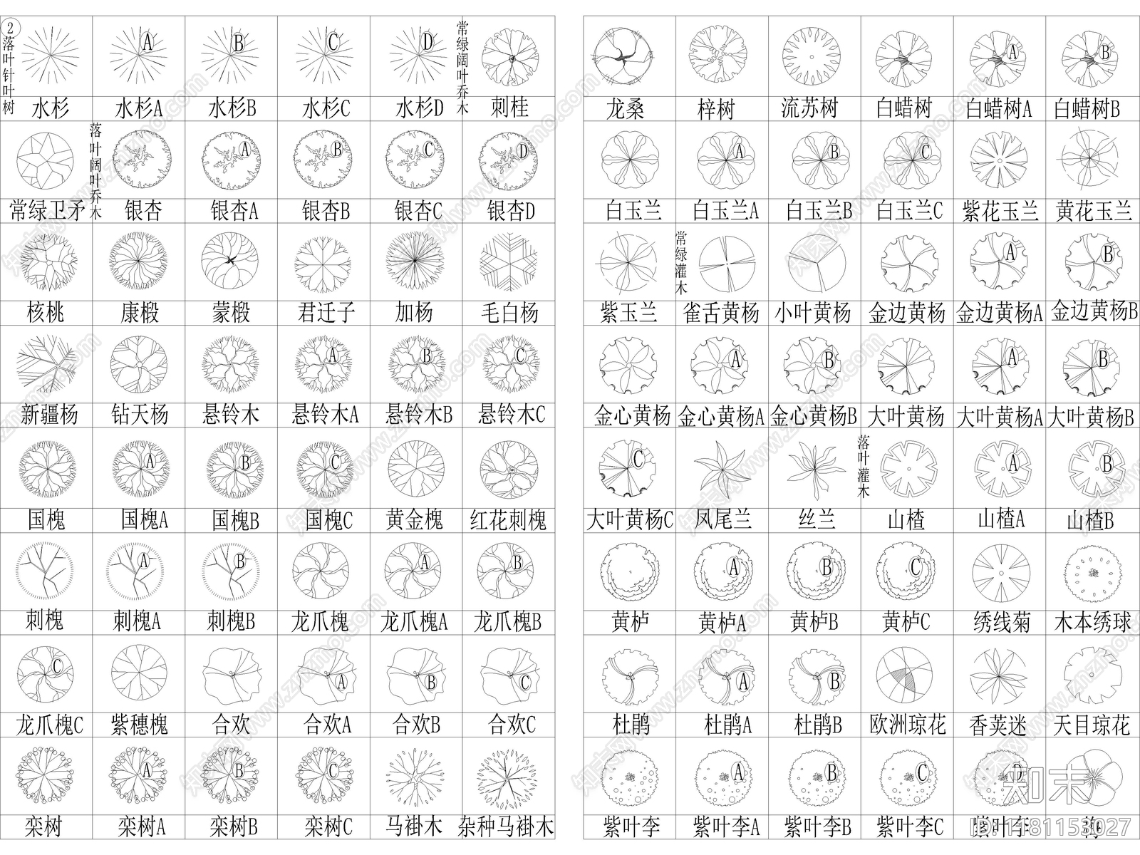 2025年最新北部园林景观植物乔木灌木植被CAD图集施工图下载【ID:1181153027】