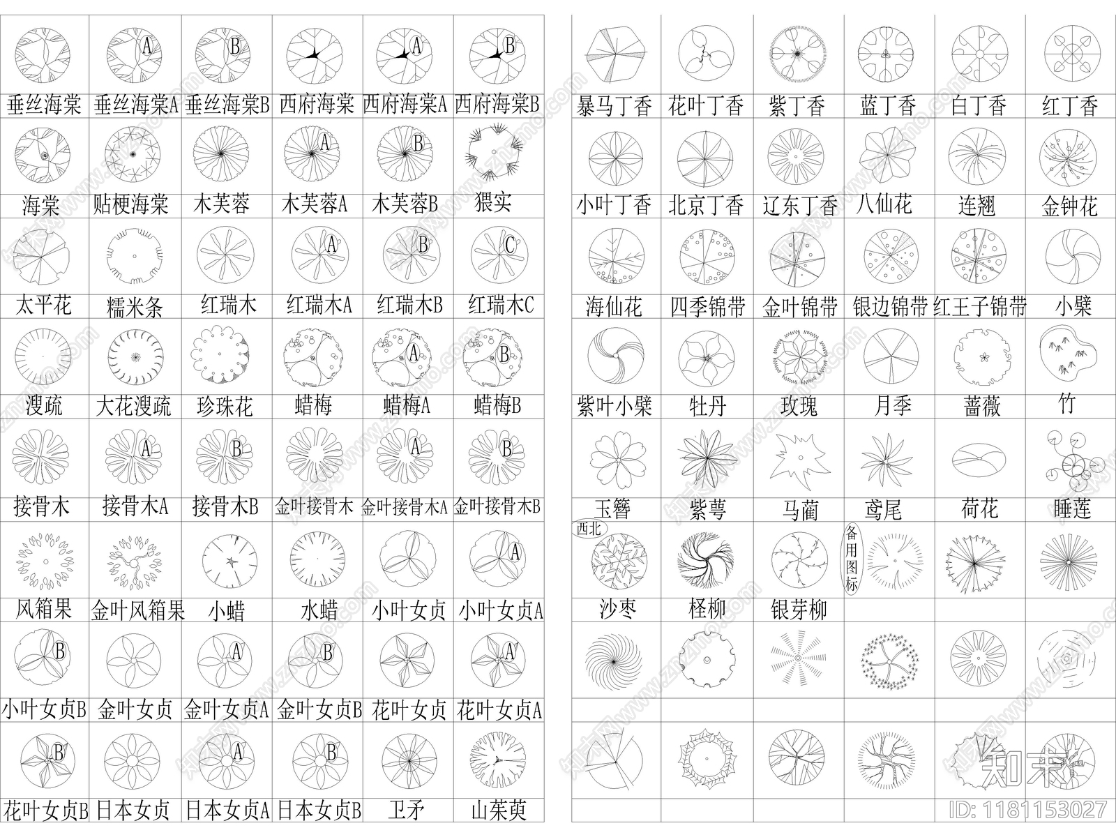 2025年最新北部园林景观植物乔木灌木植被CAD图集施工图下载【ID:1181153027】