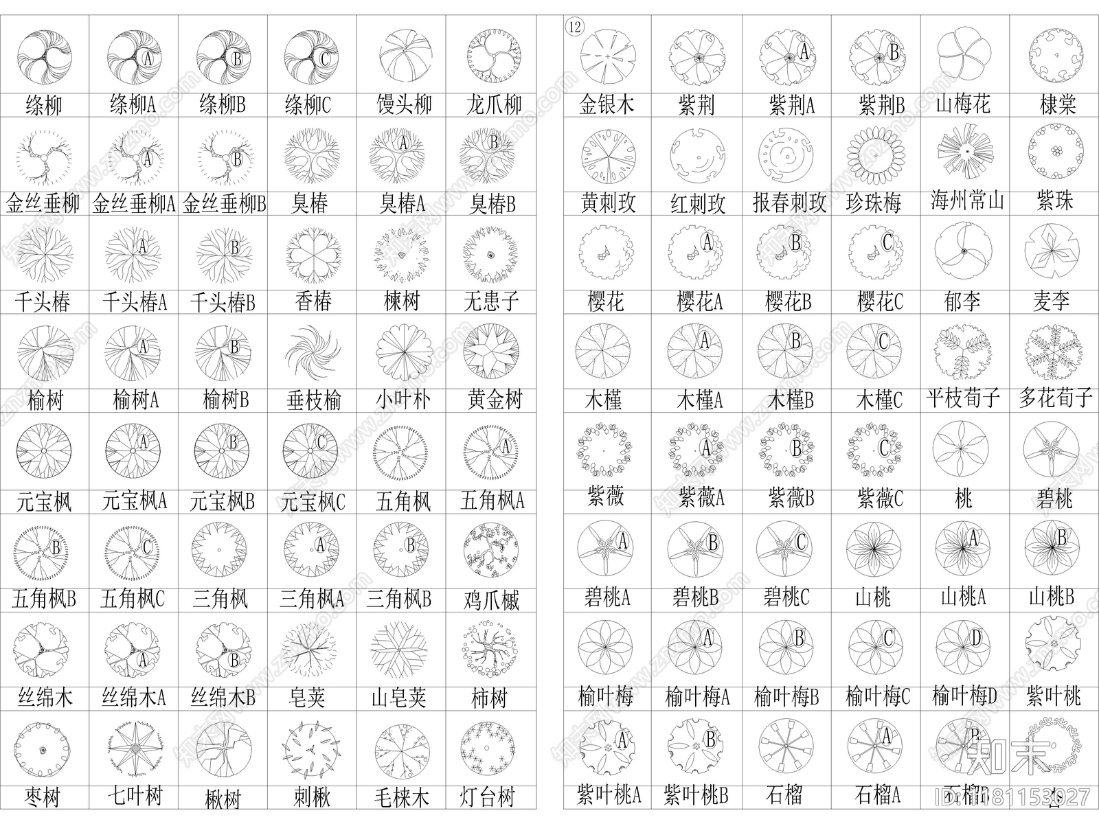 2025年最新北部园林景观植物乔木灌木植被CAD图集施工图下载【ID:1181153027】