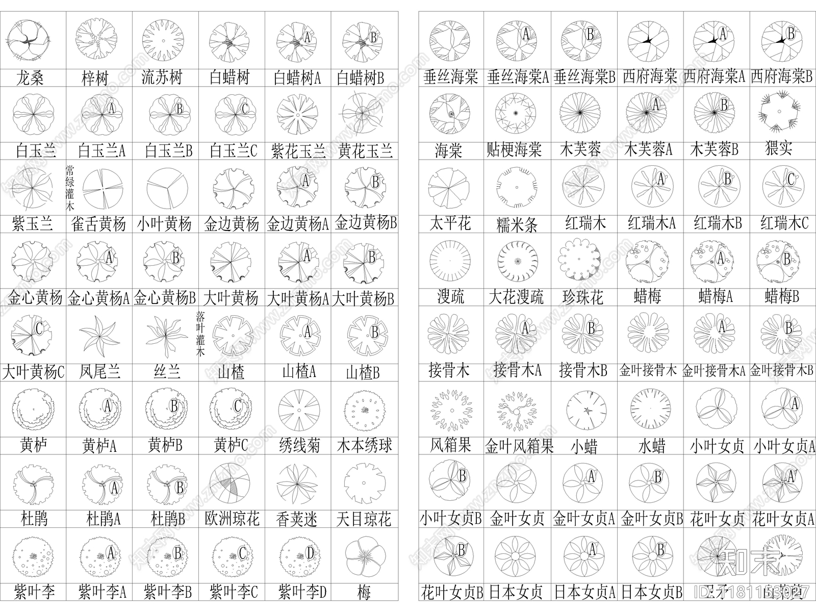 2025年最新北部园林景观植物乔木灌木植被CAD图集施工图下载【ID:1181153027】