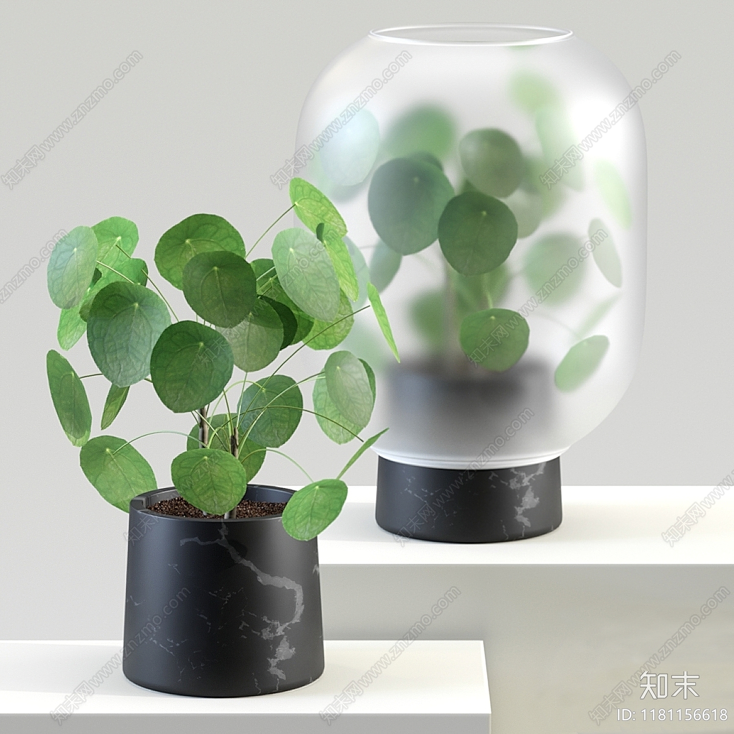 现代植物绿植3D模型下载【ID:1181156618】