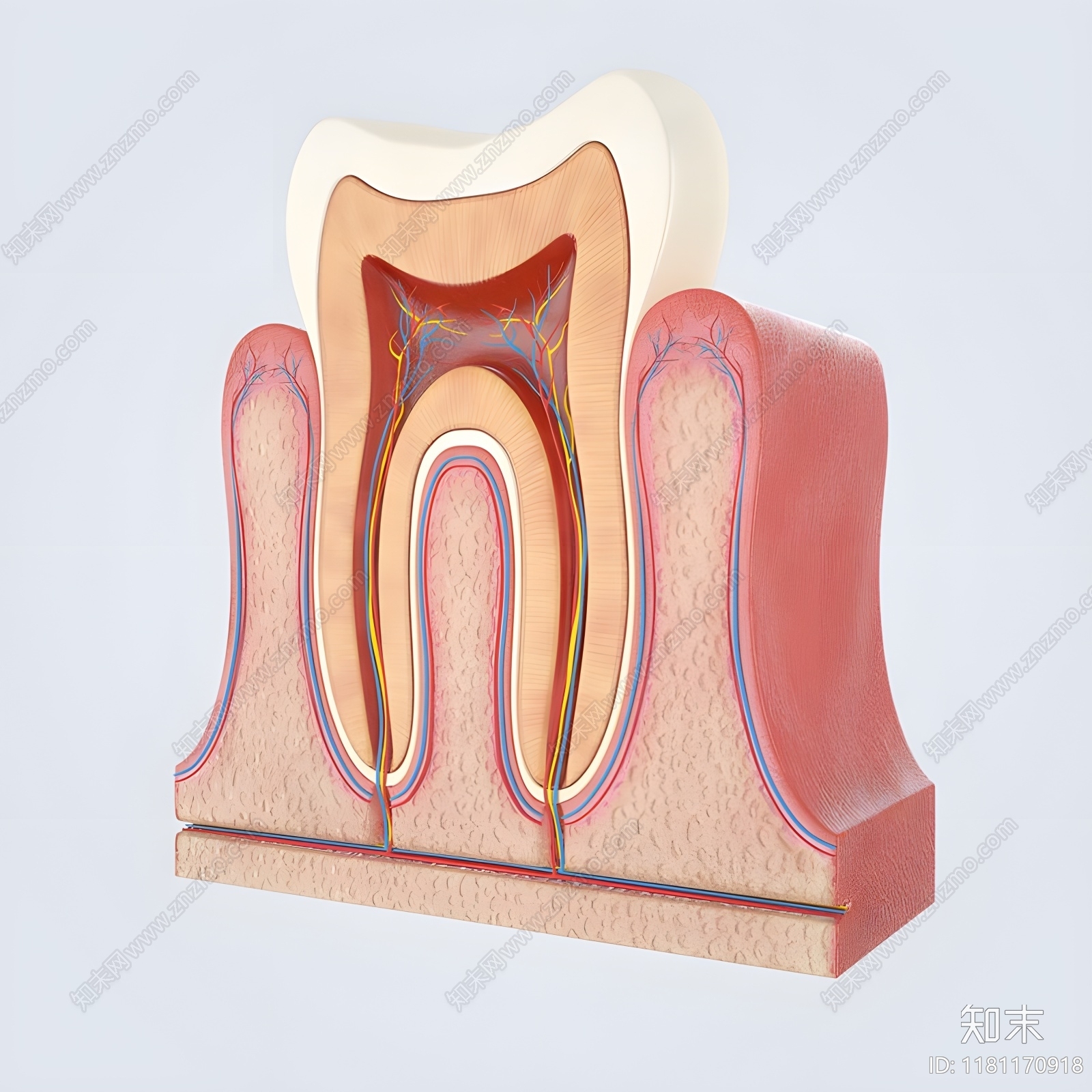 医疗器材3D模型下载【ID:1181170918】