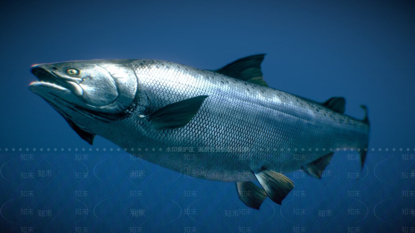水生类动物3D模型下载【ID:1181174638】