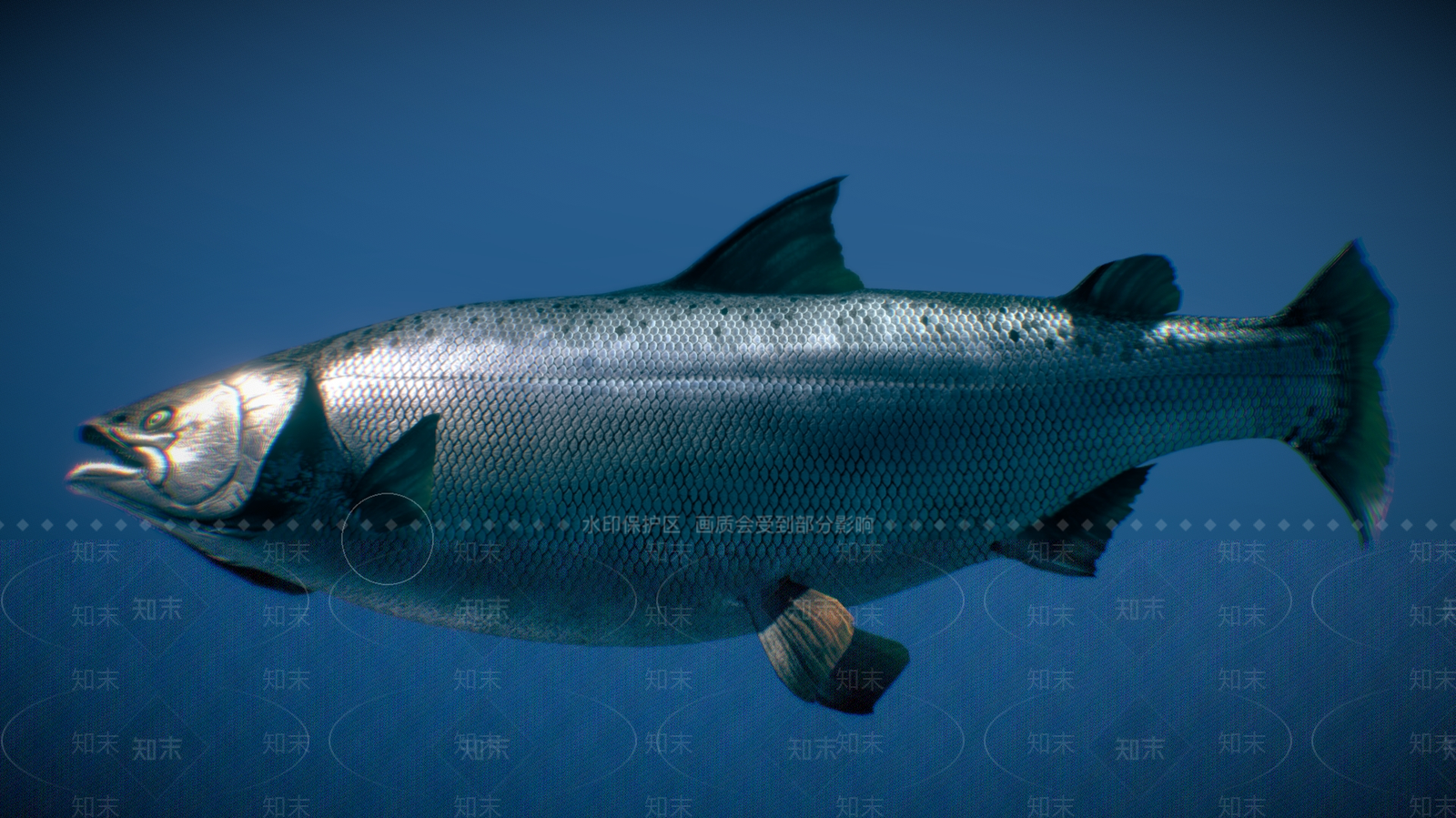 水生类动物3D模型下载【ID:1181174638】