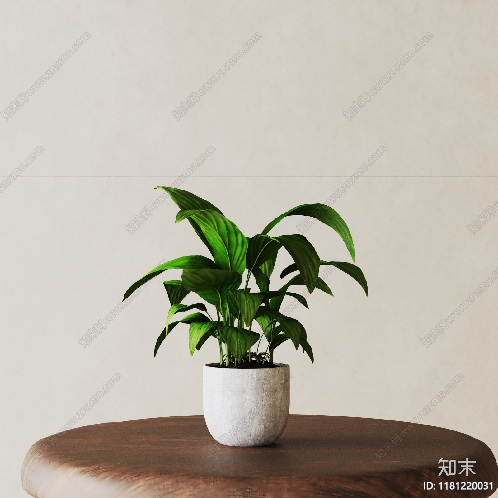 盆栽3D模型下载【ID:1181220031】