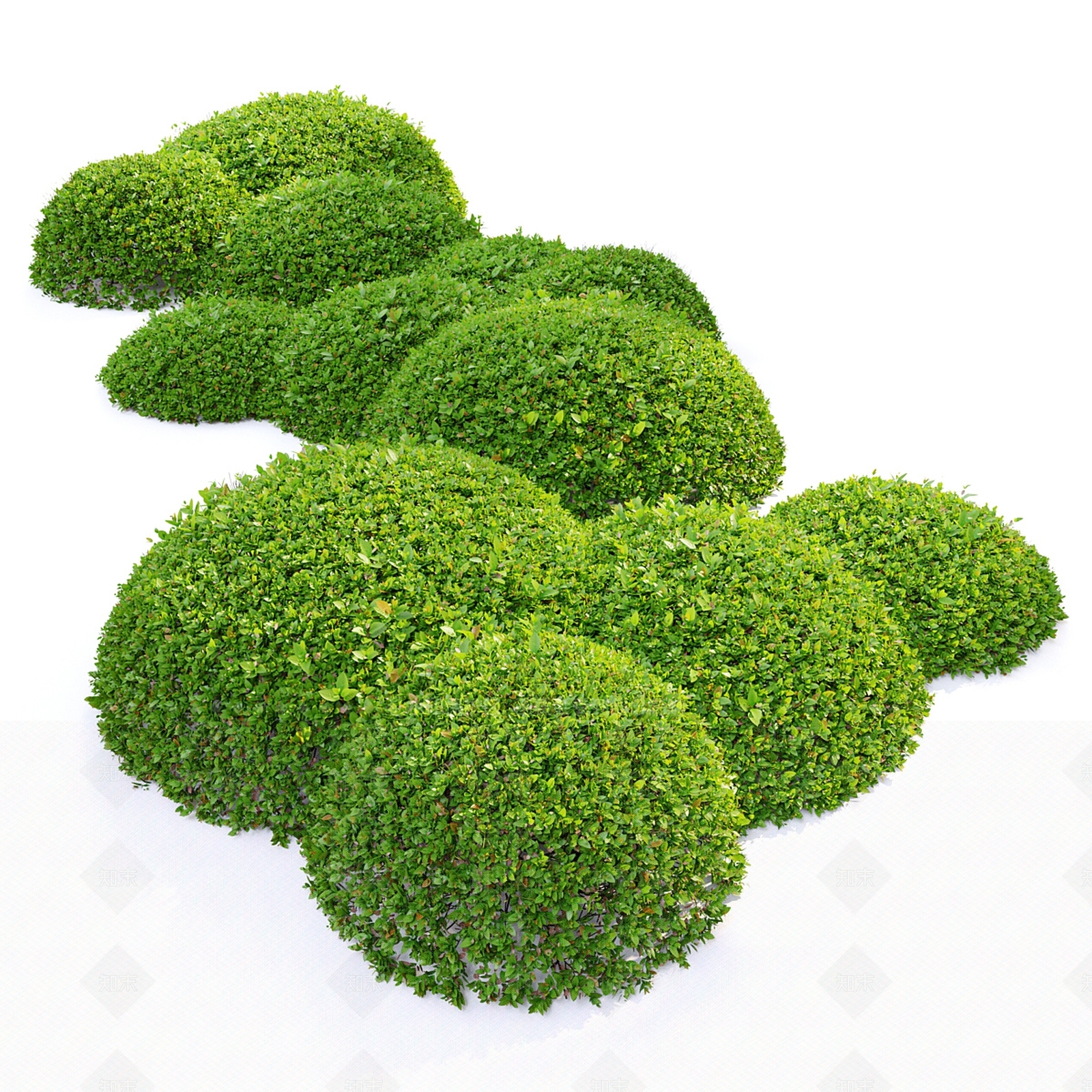 现代灌木3D模型下载【ID:1181222379】
