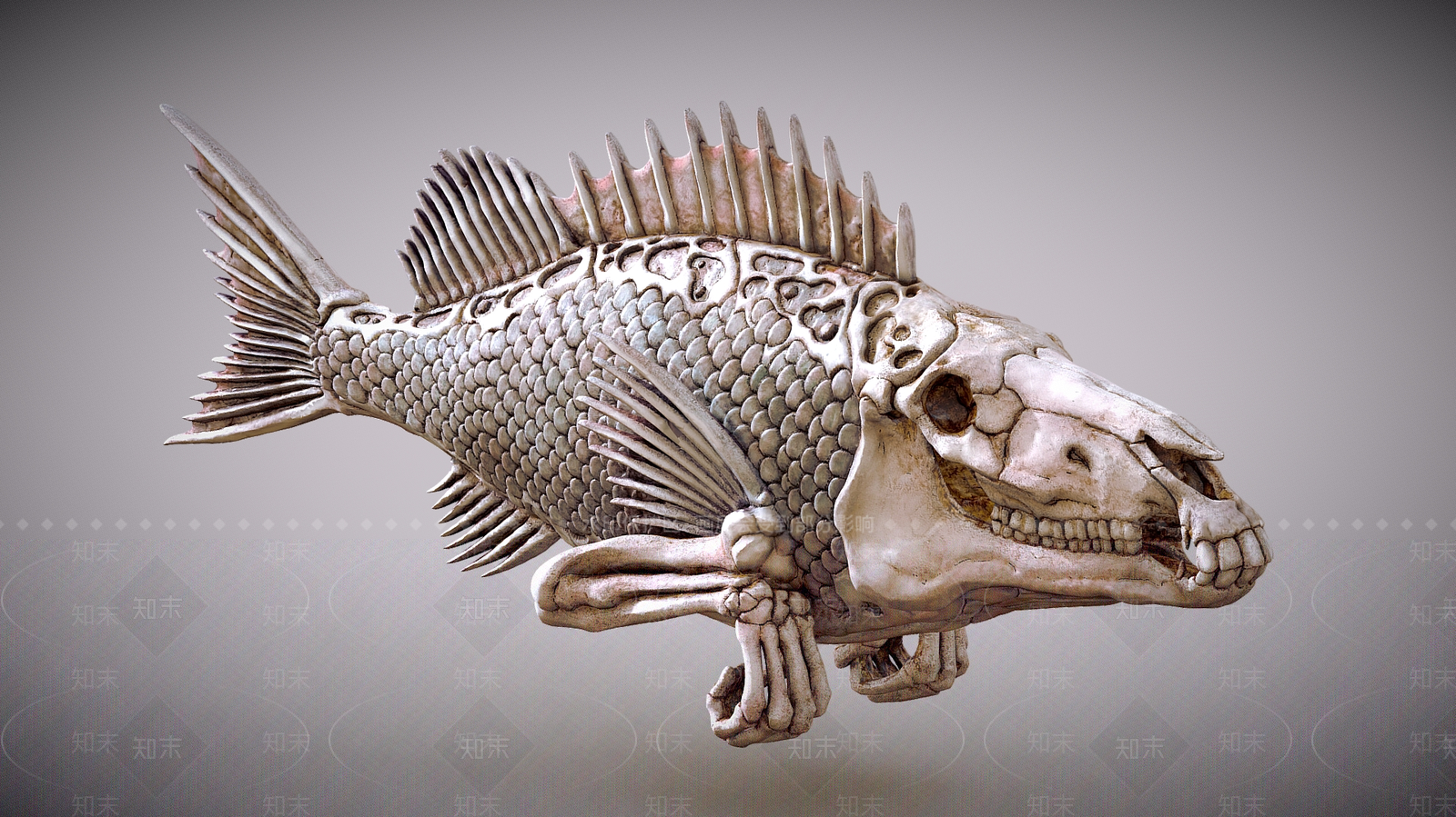 其他动物3D模型下载【ID:1181227885】