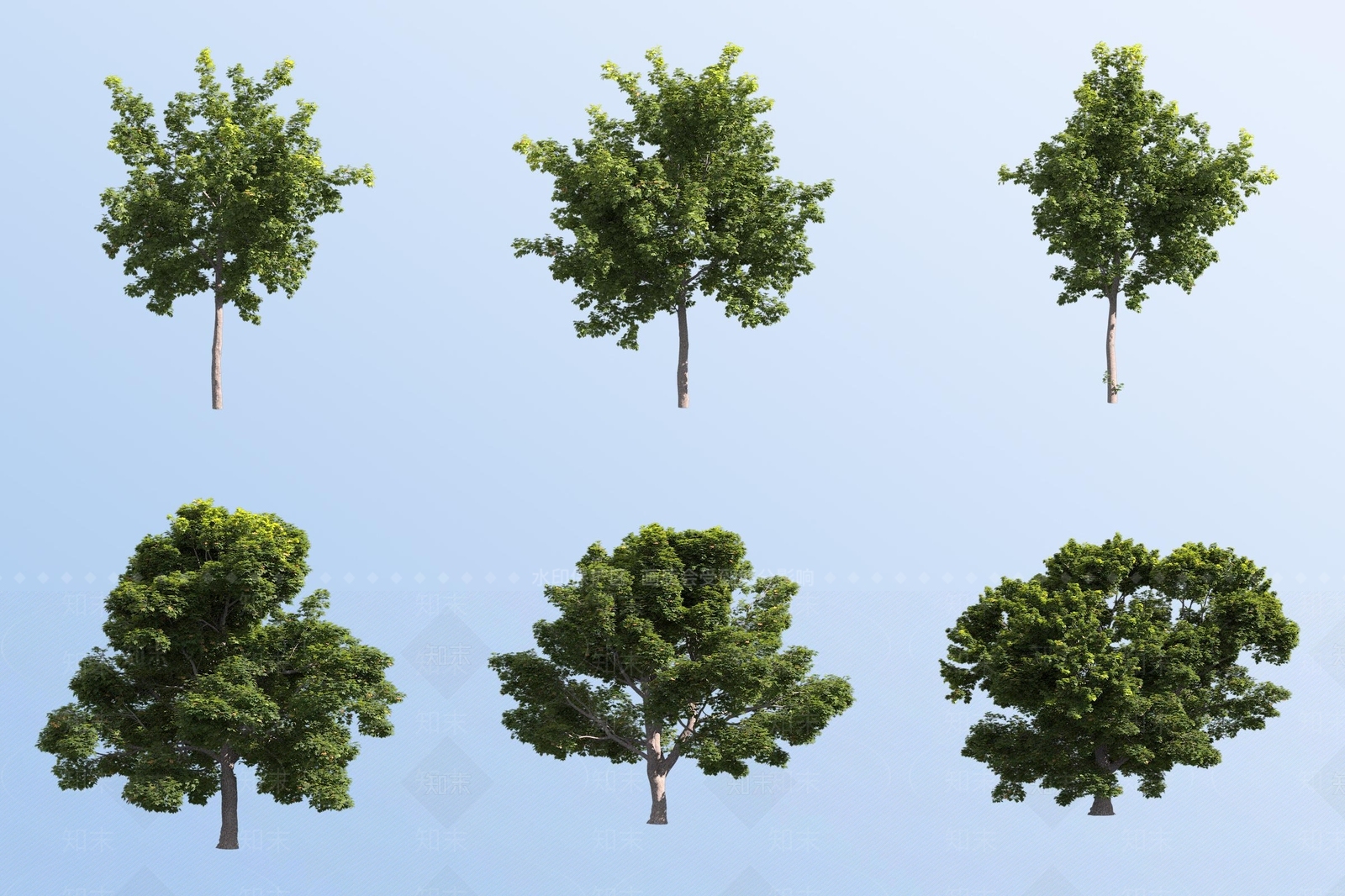 景观树3D模型下载【ID:1181241500】