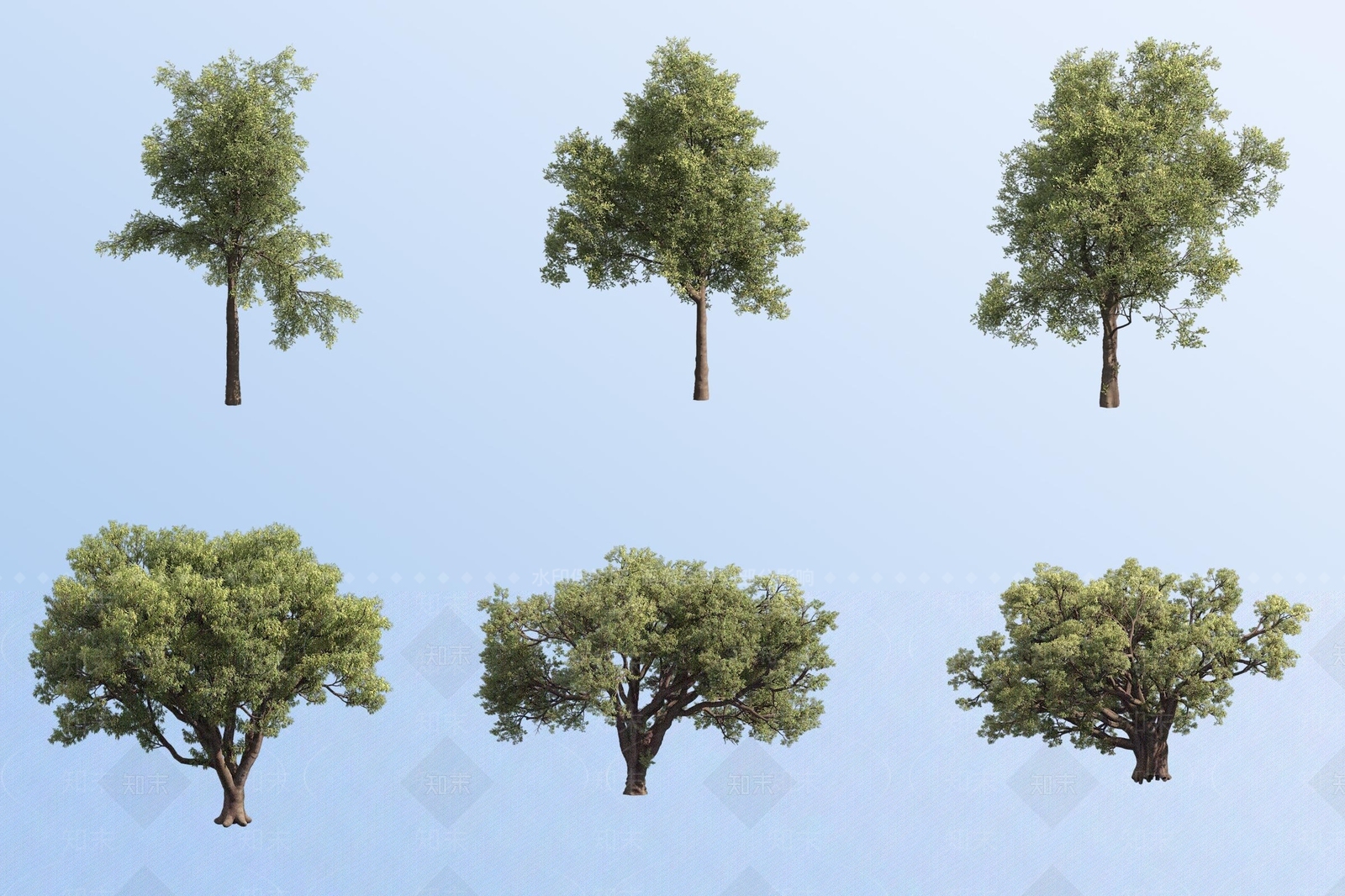 景观树3D模型下载【ID:1181243745】