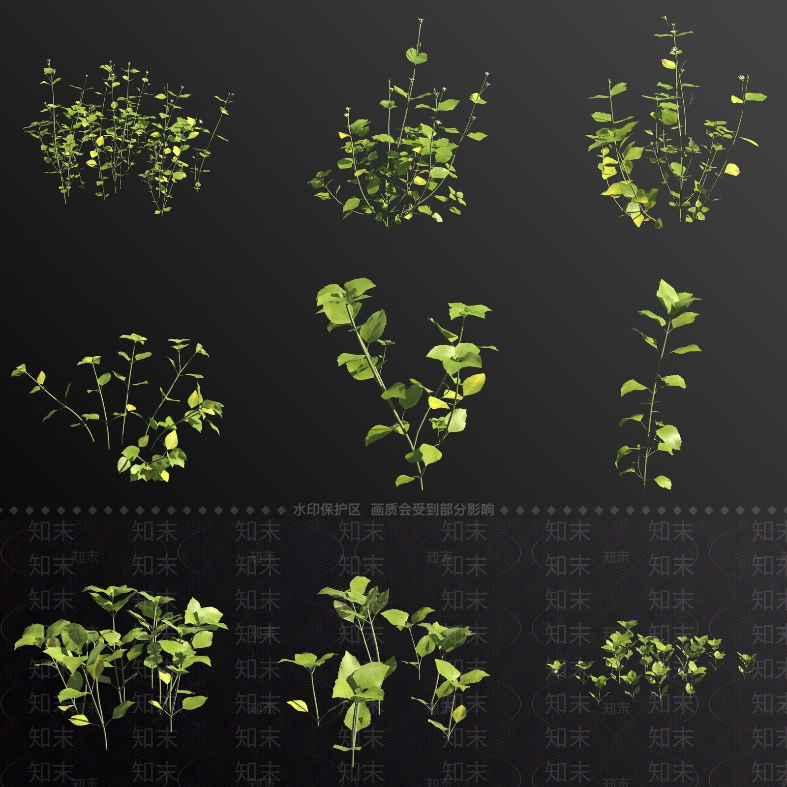 草3D模型下载【ID:1181247770】