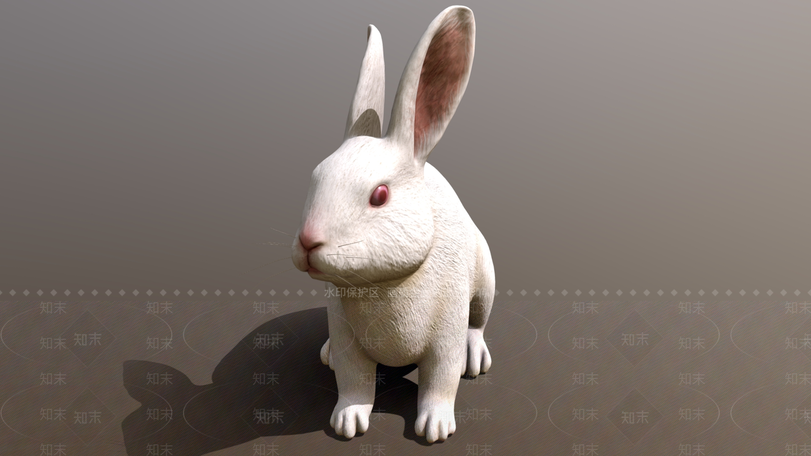 爬行类动物3D模型下载【ID:1181250985】