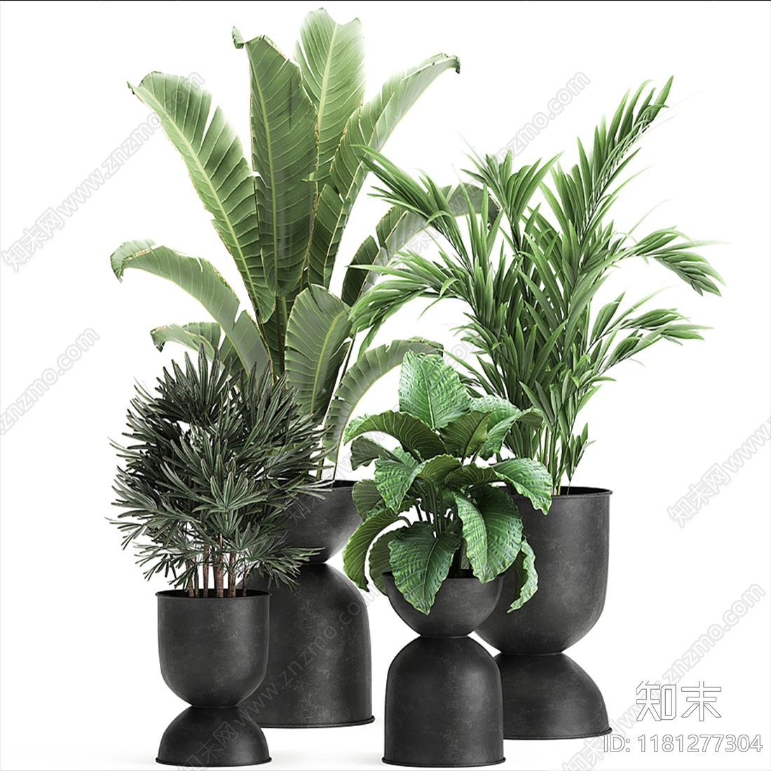 现代植物盆栽3D模型下载【ID:1181277304】