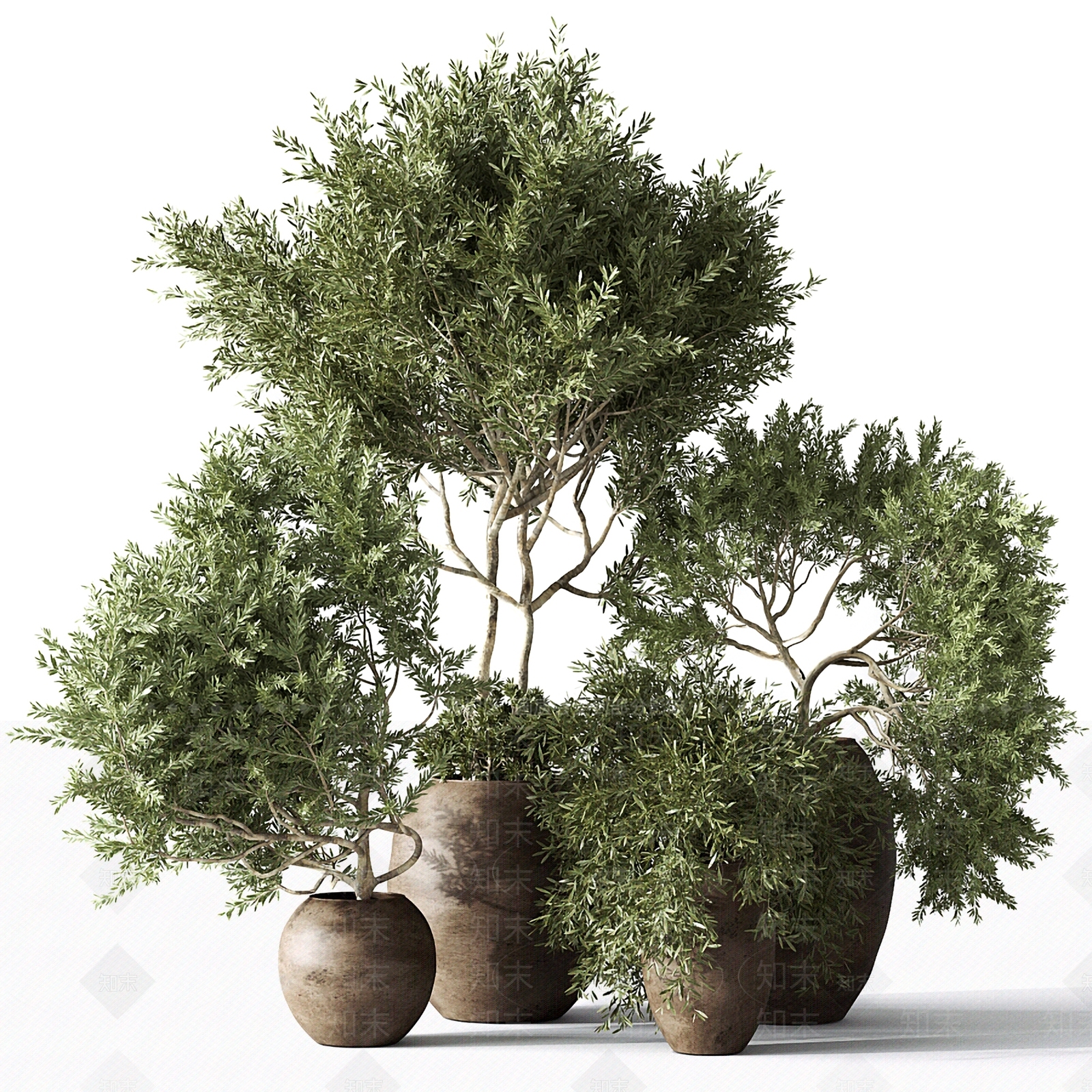 现代室内盆栽盆景3D模型下载【ID:1181279903】