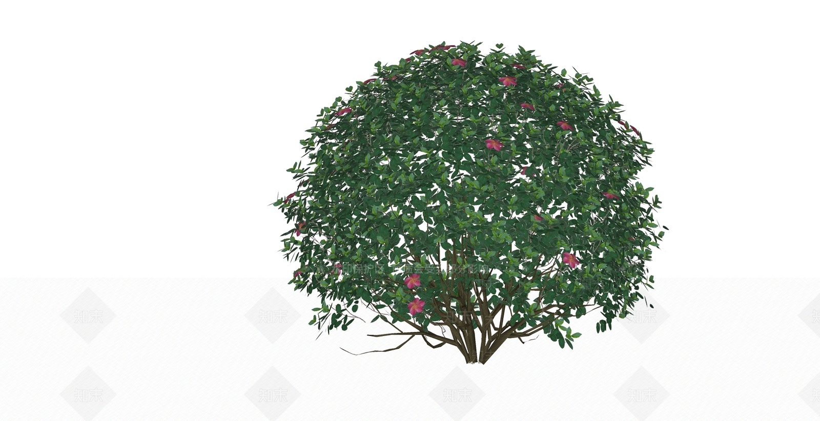 灌木SU模型下载【ID:1181301848】