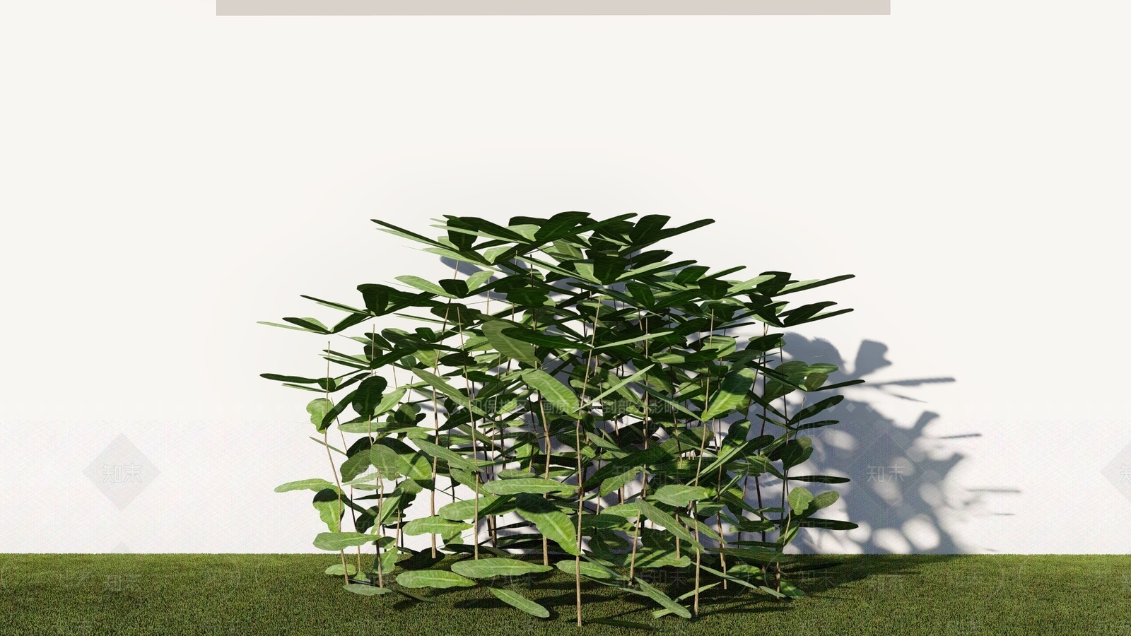 花草SU模型下载【ID:1181325429】