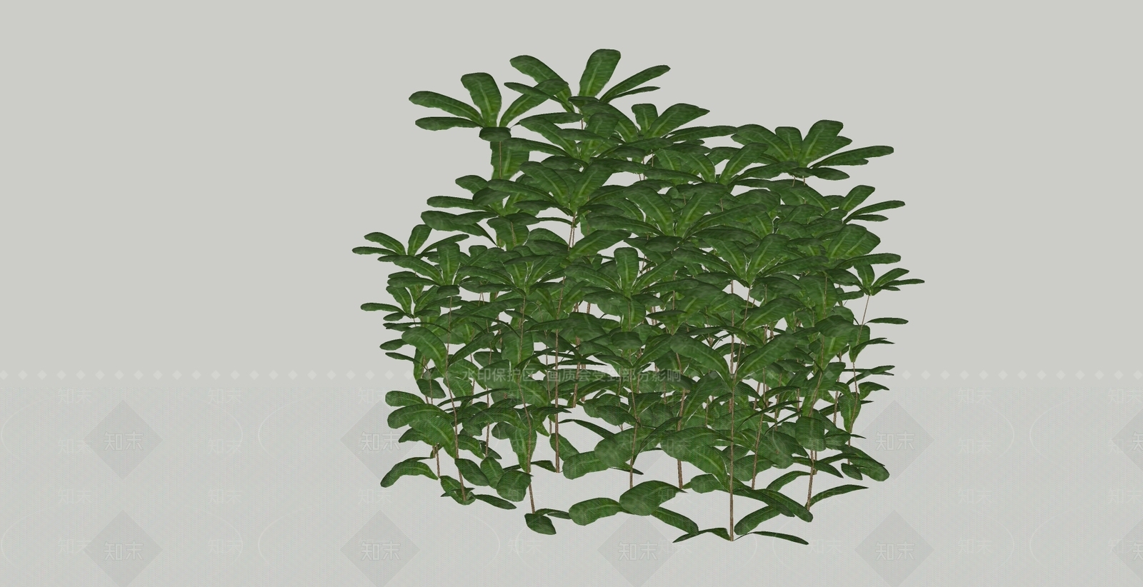 花草SU模型下载【ID:1181325429】