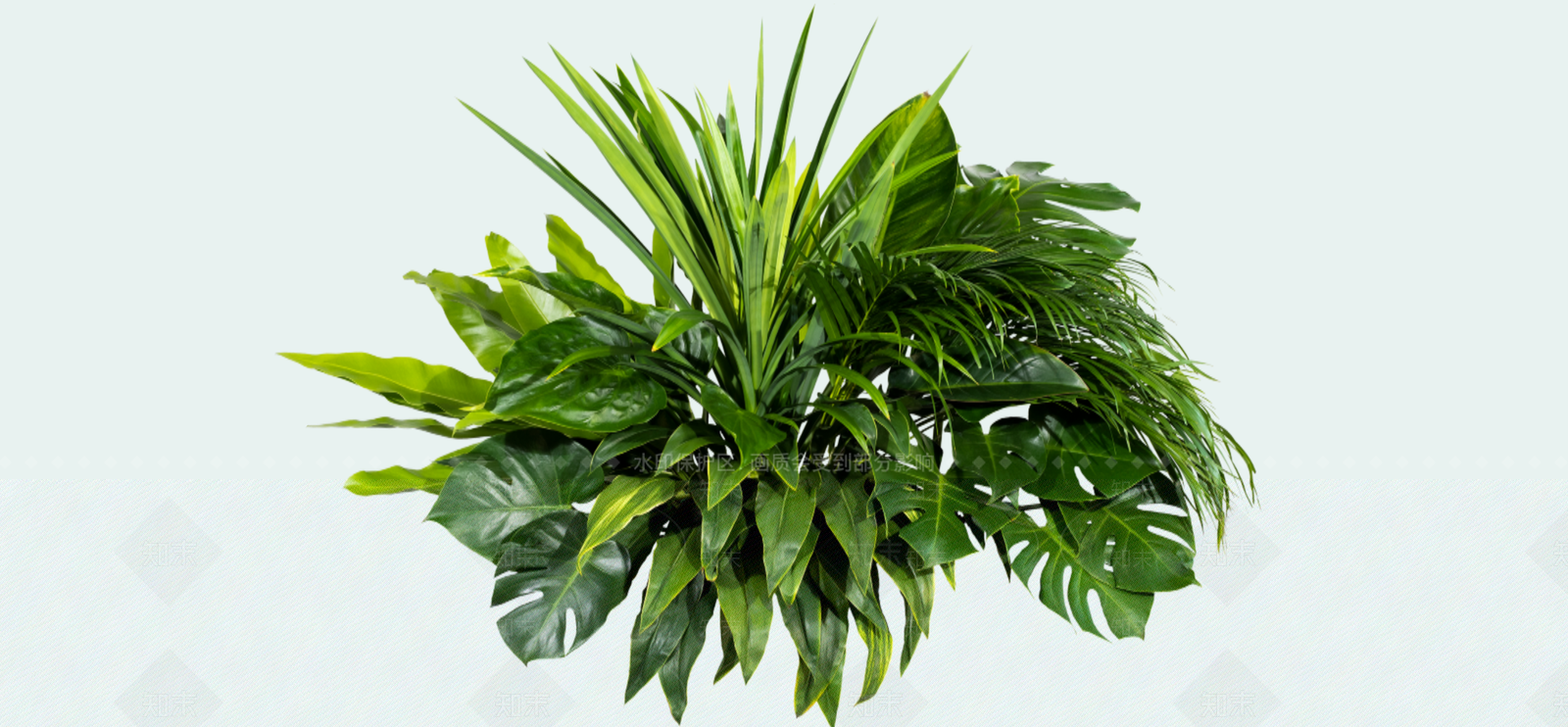 植物组合SU模型下载【ID:1181328083】