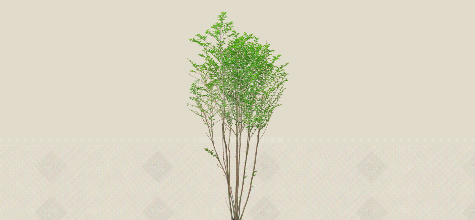 灌木SU模型下载【ID:1181330642】
