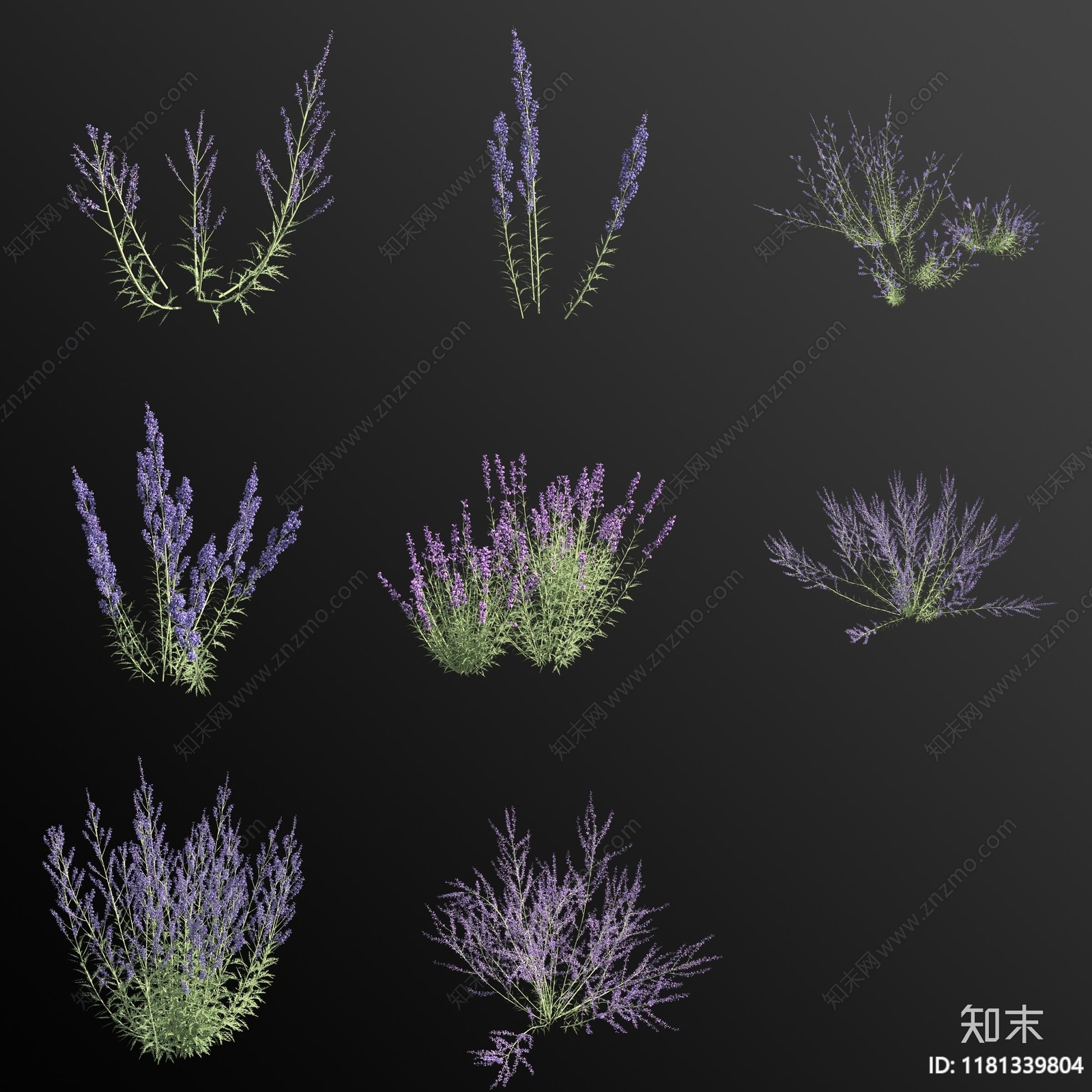 花3D模型下载【ID:1181339804】