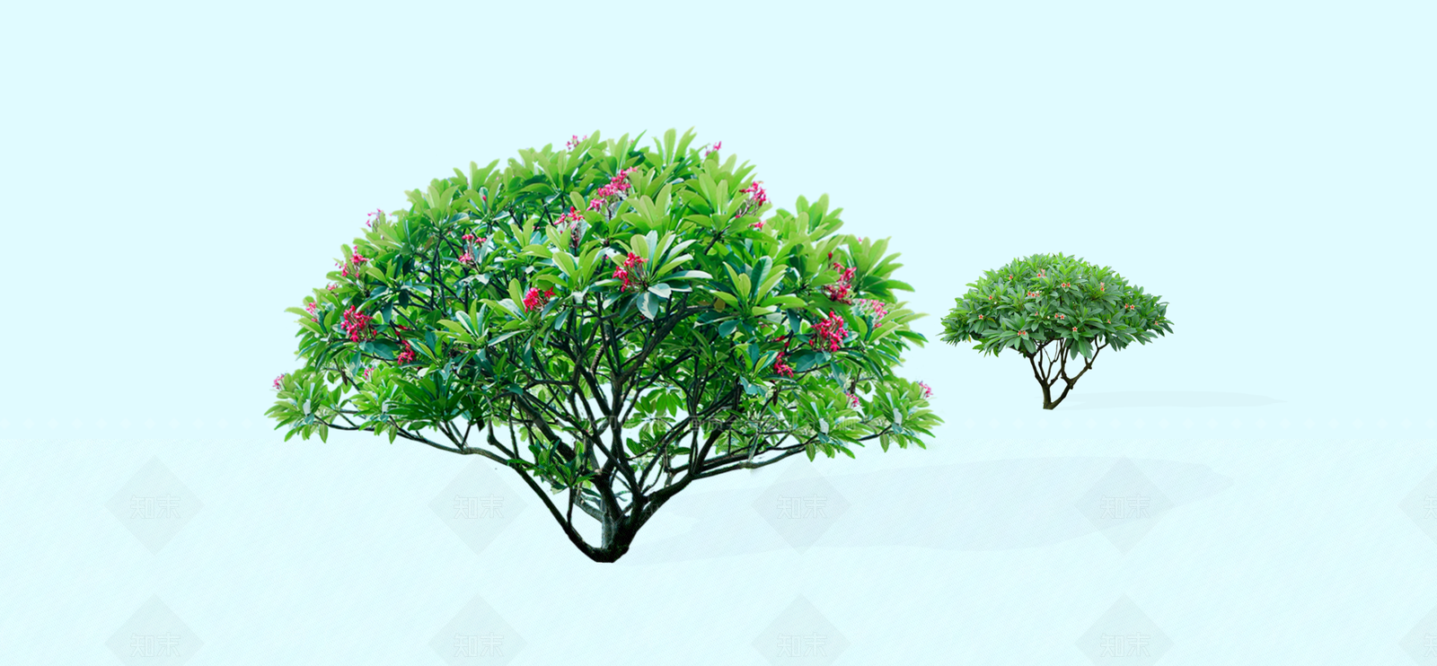 灌木SU模型下载【ID:1181354017】