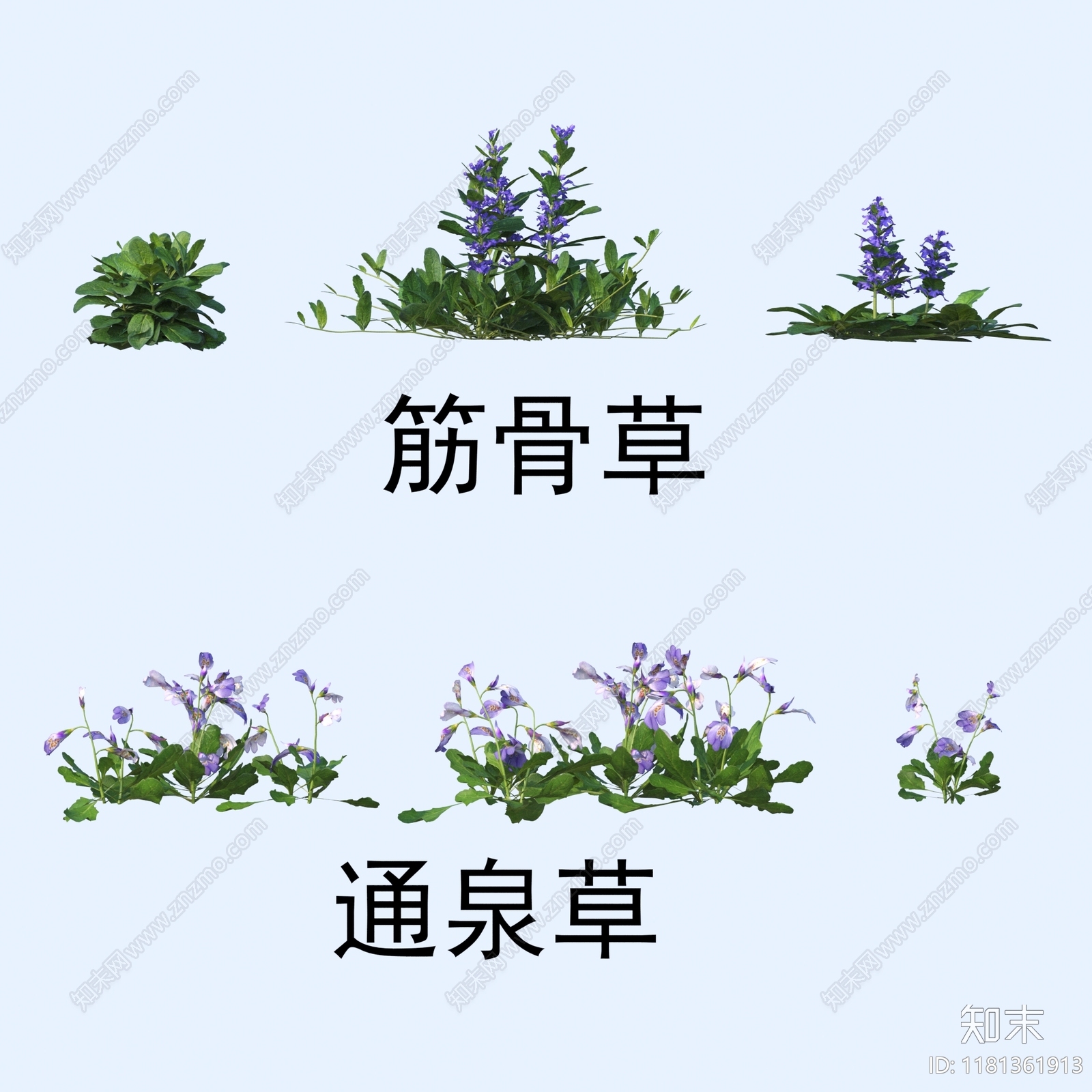 花3D模型下载【ID:1181361913】