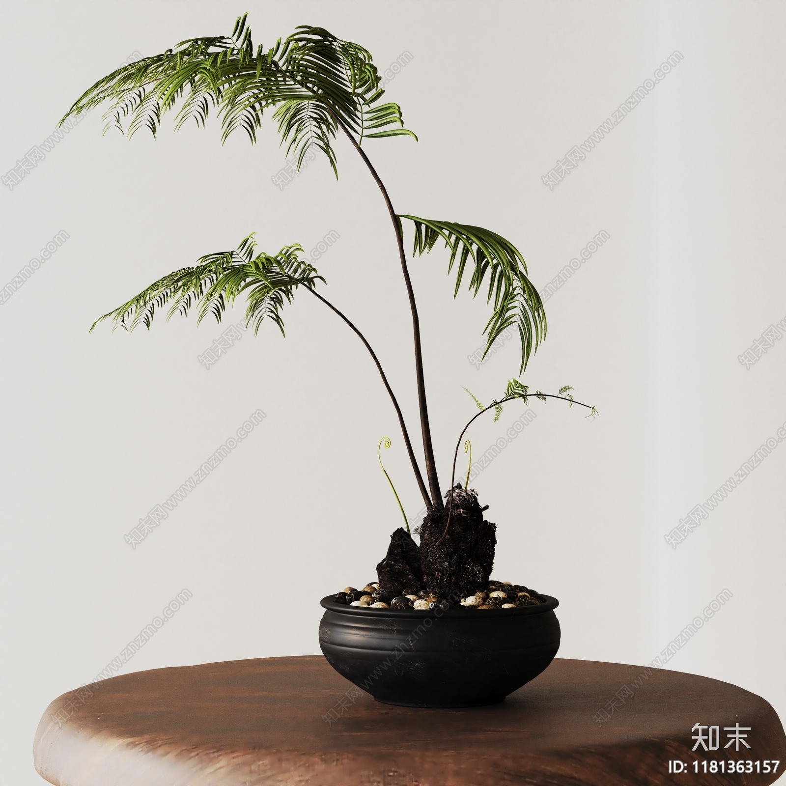 盆栽3D模型下载【ID:1181363157】