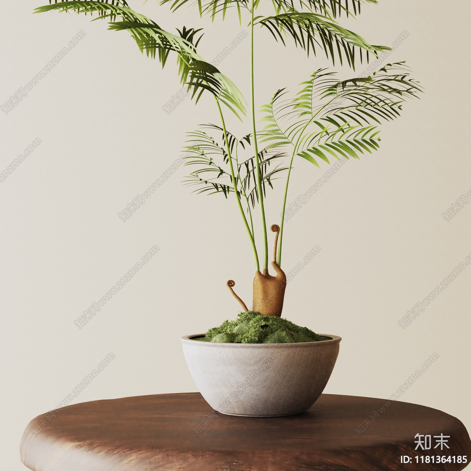 盆栽3D模型下载【ID:1181364185】