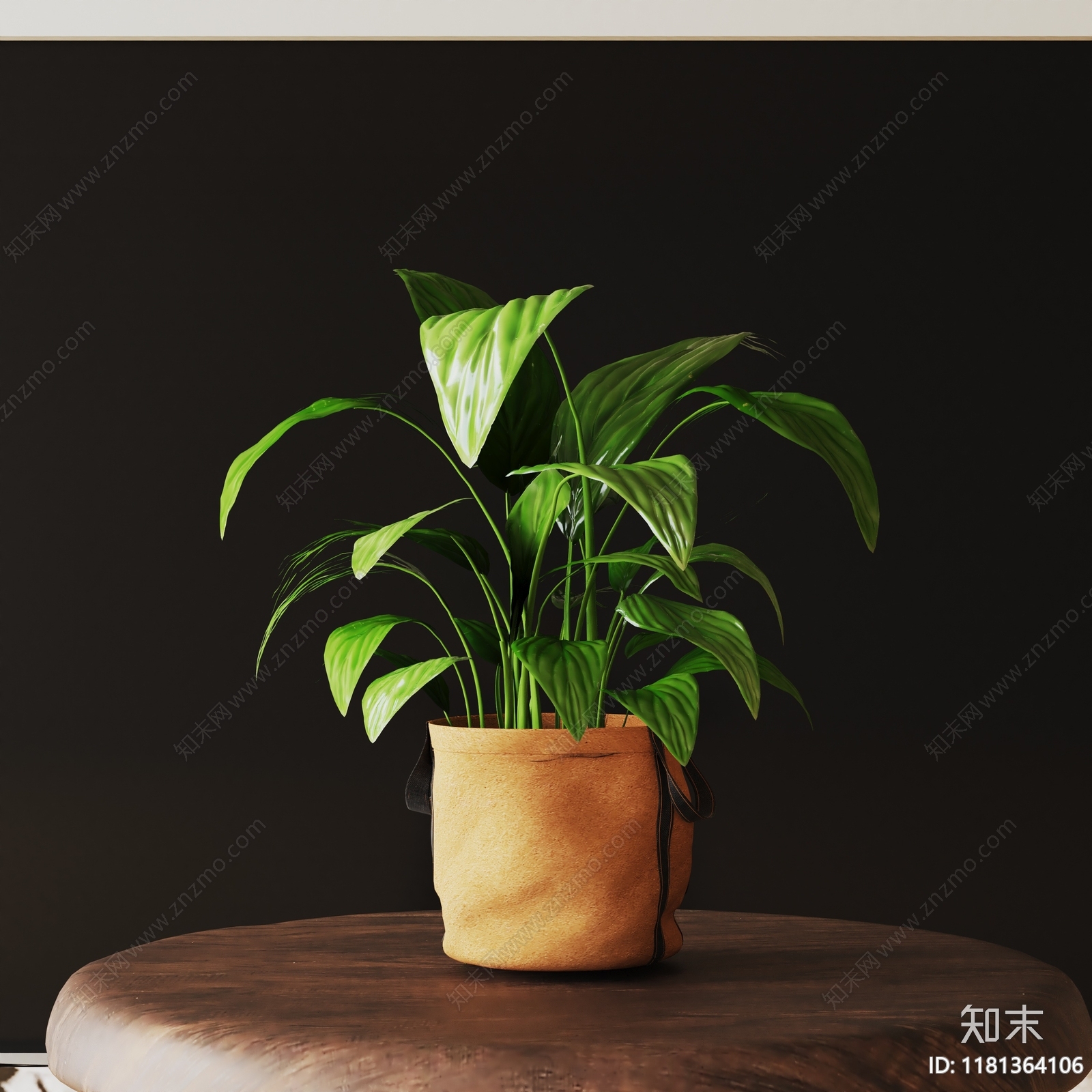 盆栽3D模型下载【ID:1181364106】