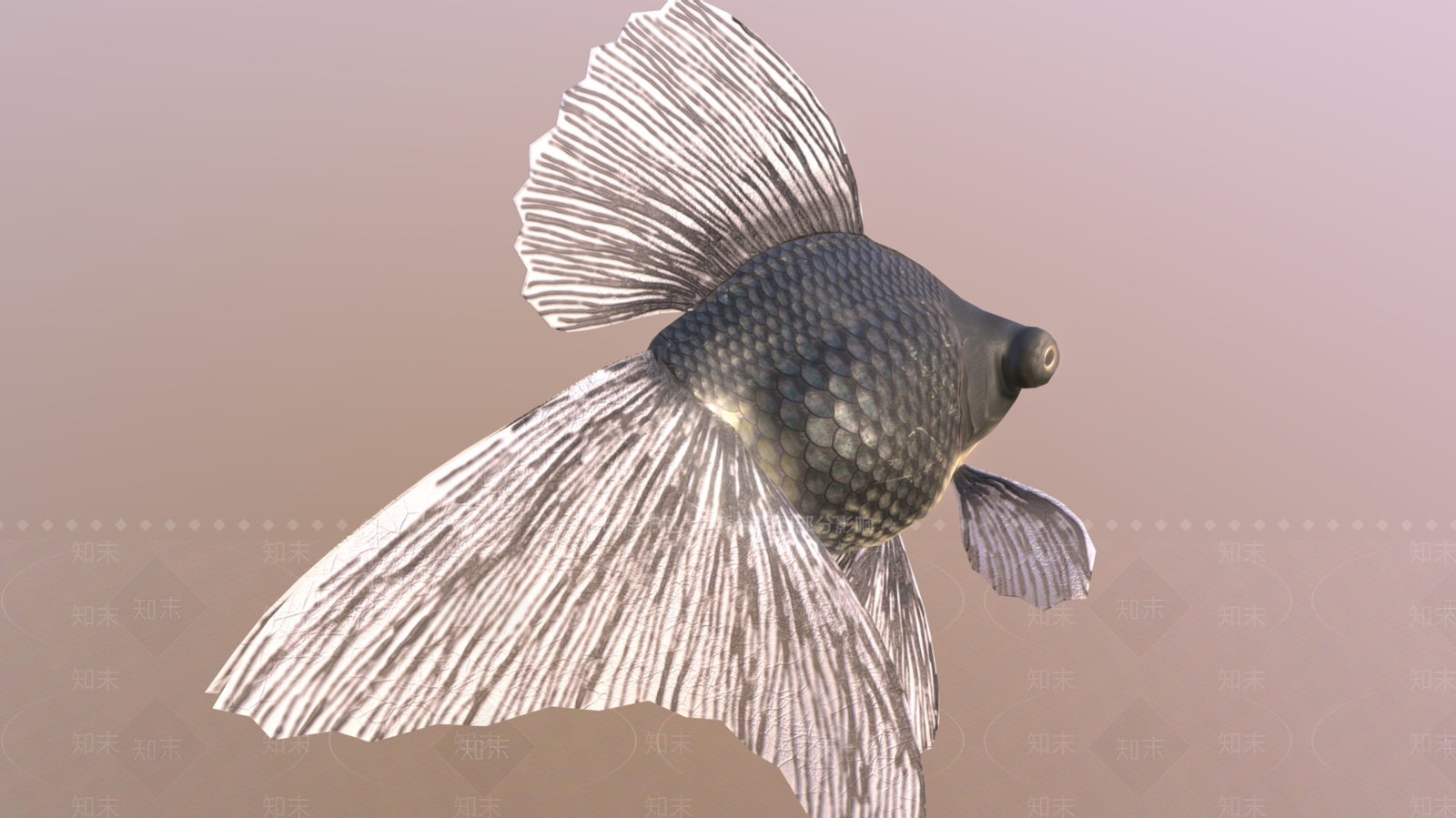 水生类动物3D模型下载【ID:1181373179】