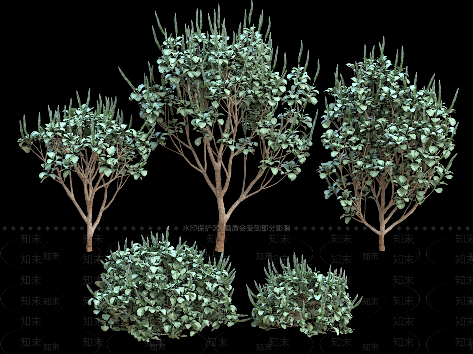 灌木3D模型下载【ID:1181376784】