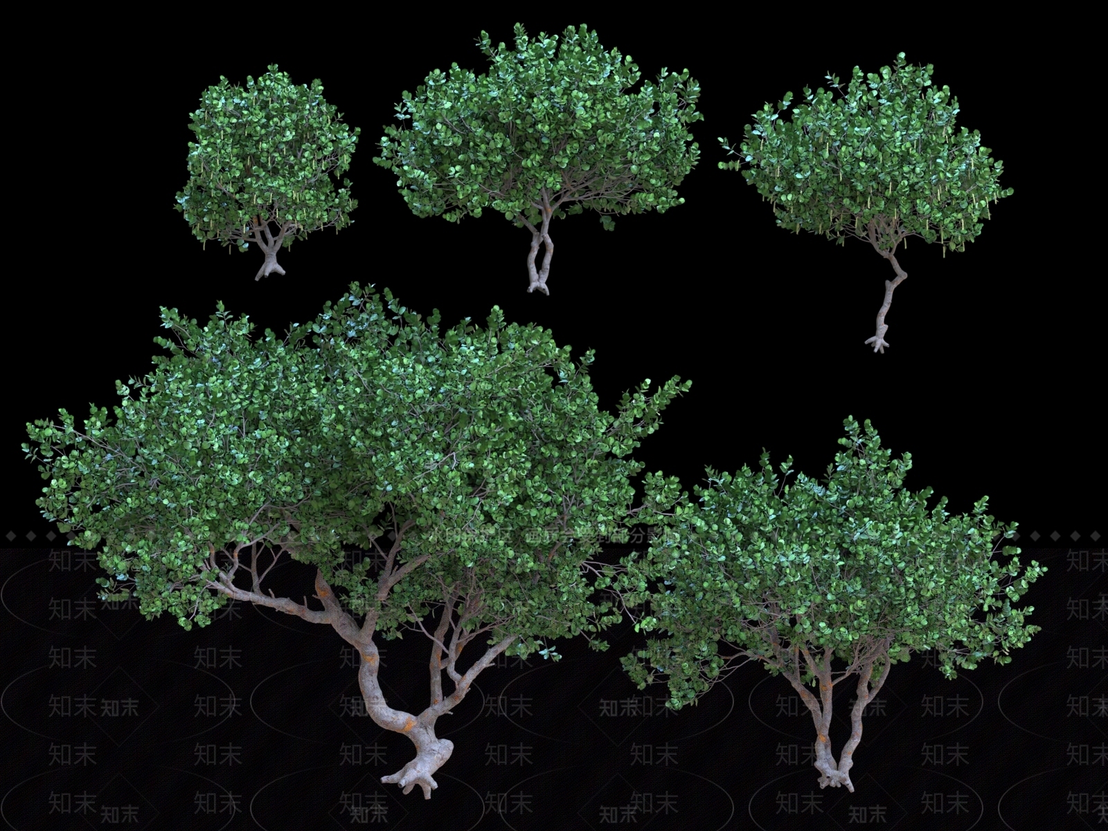 乔木3D模型下载【ID:1181377208】