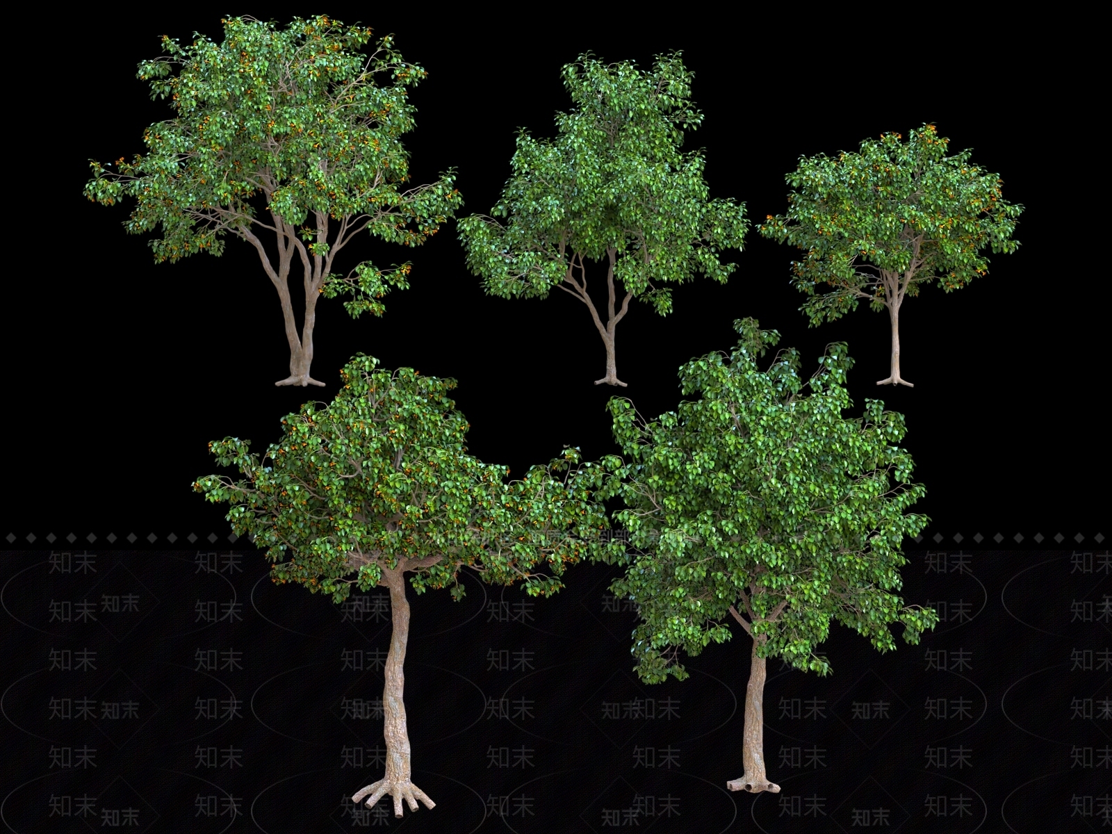 乔木3D模型下载【ID:1181378303】