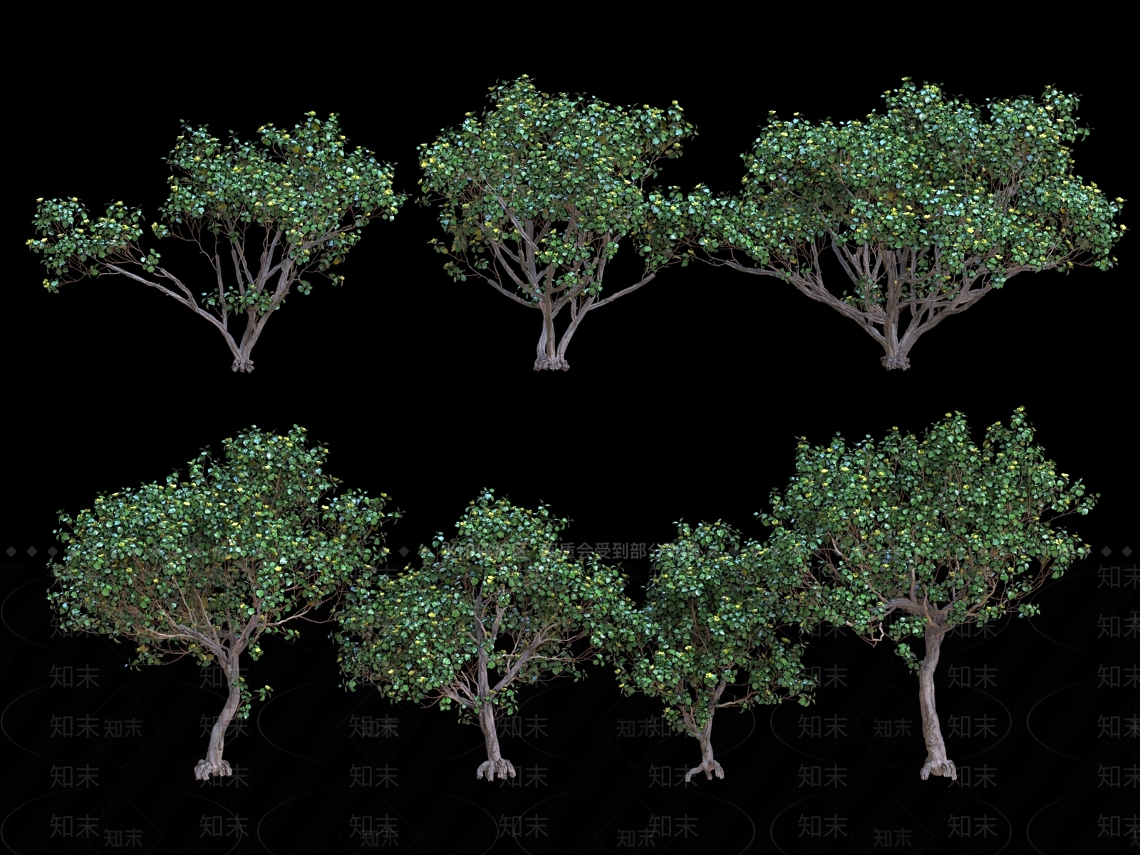景观树3D模型下载【ID:1181379761】