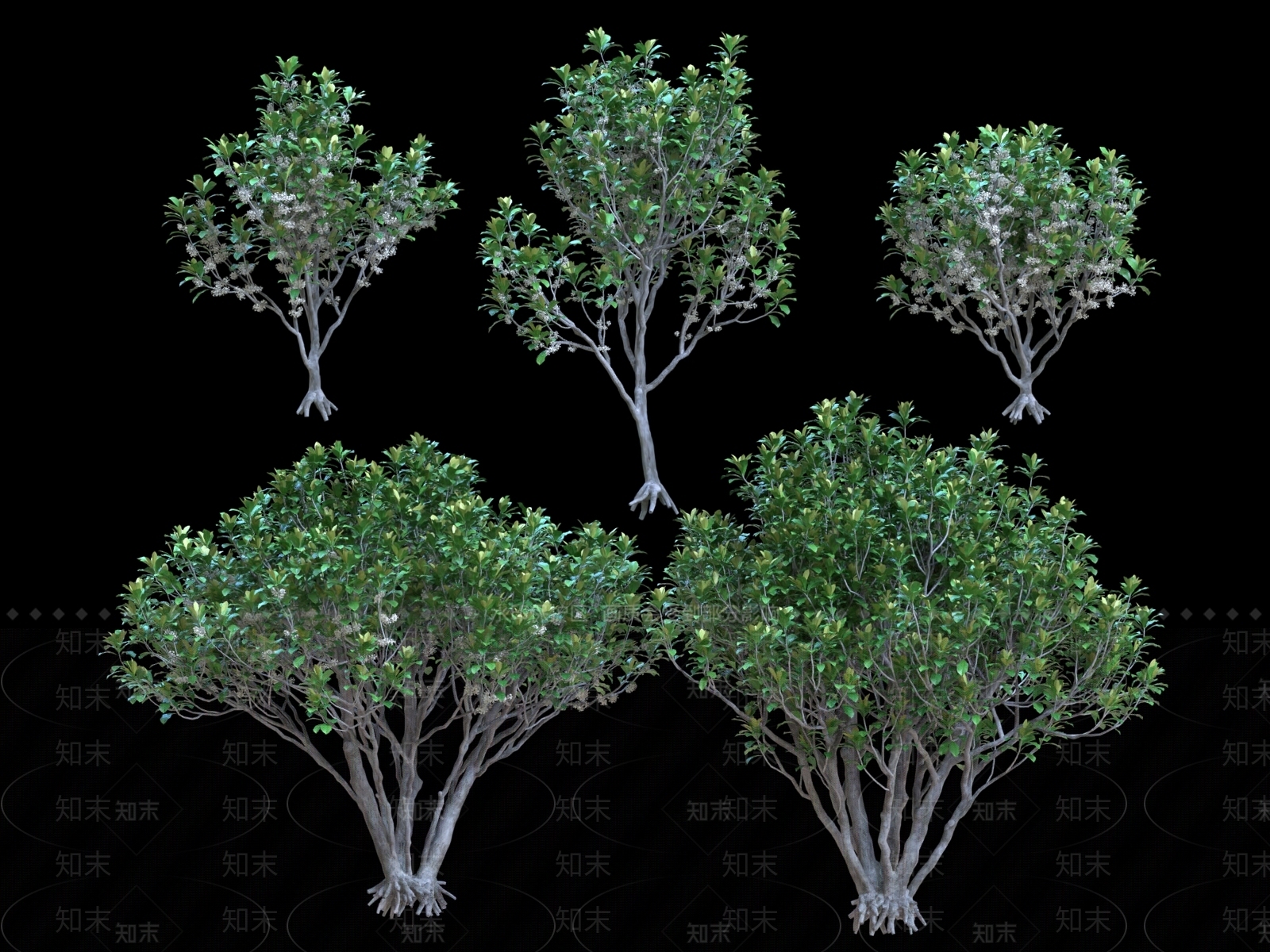乔木3D模型下载【ID:1181380212】
