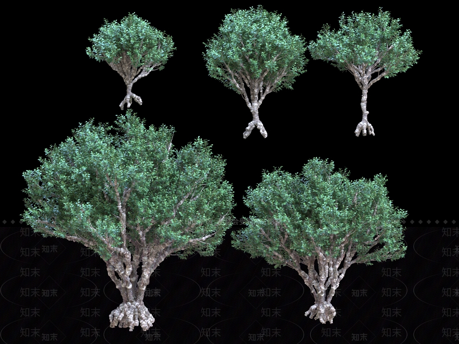 乔木3D模型下载【ID:1181381789】