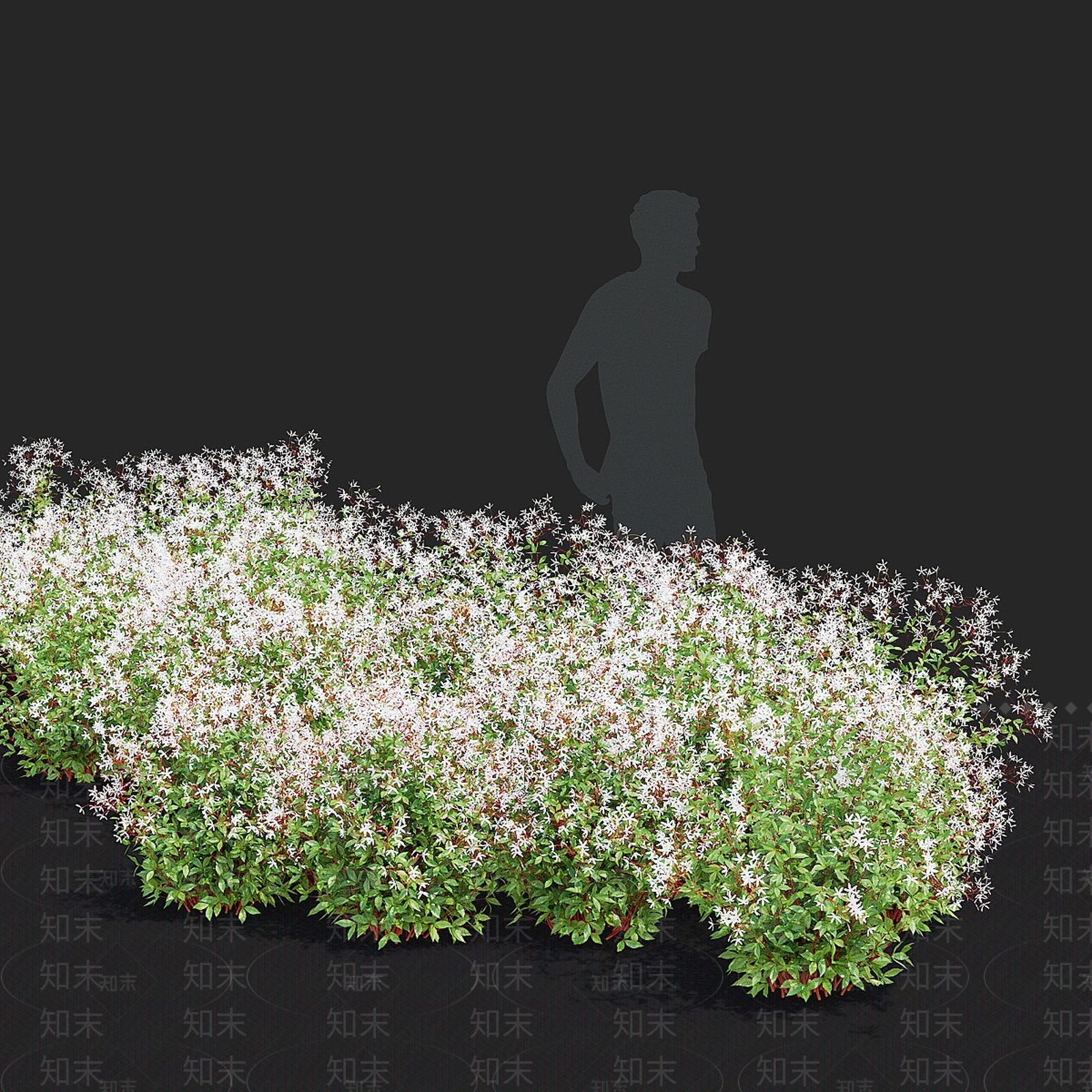 灌木3D模型下载【ID:1181386372】