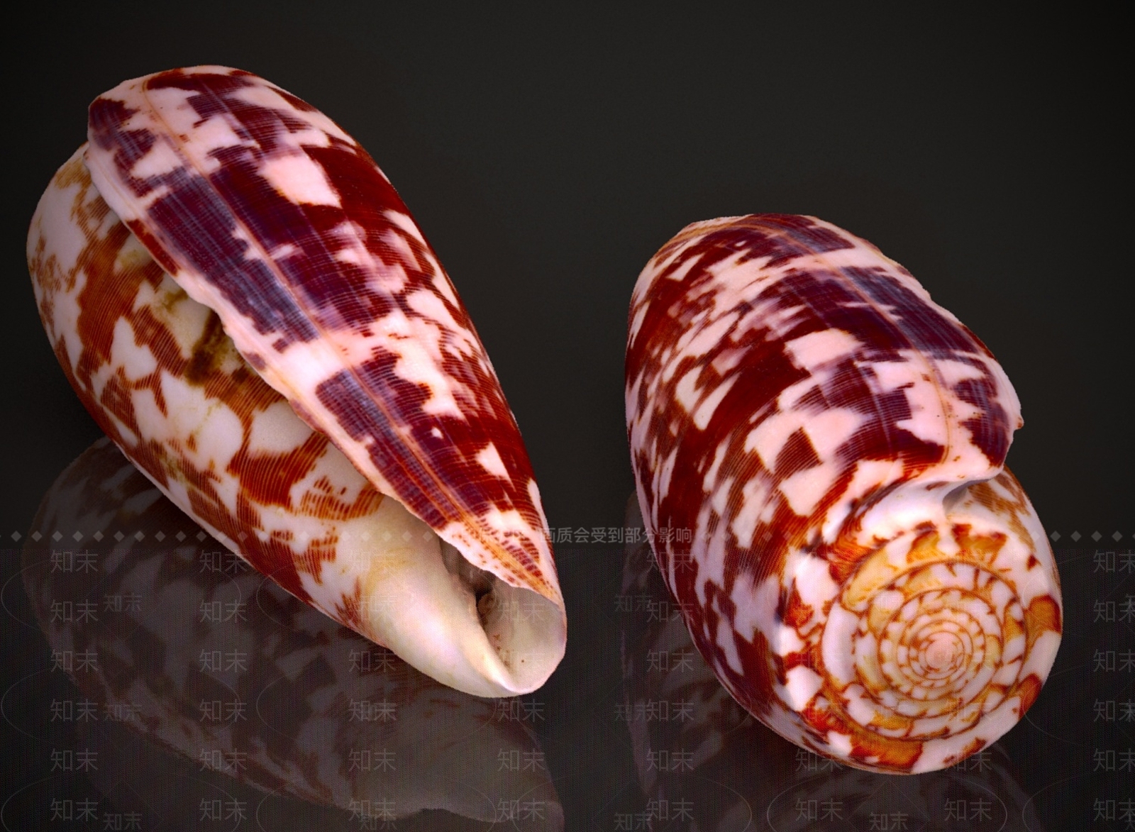 酒水食物3D模型下载【ID:1181417663】
