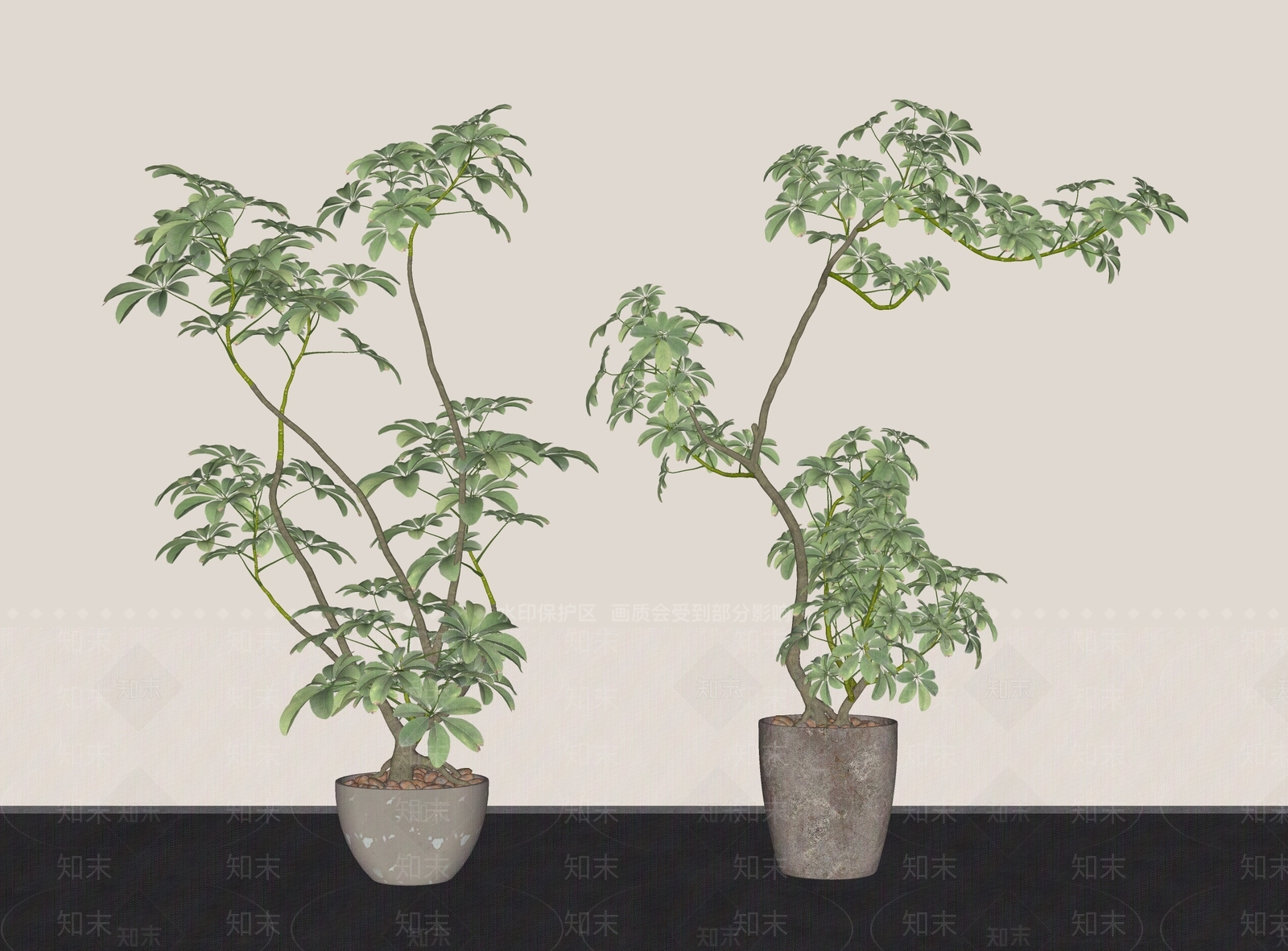 盆栽SU模型下载【ID:1181426593】