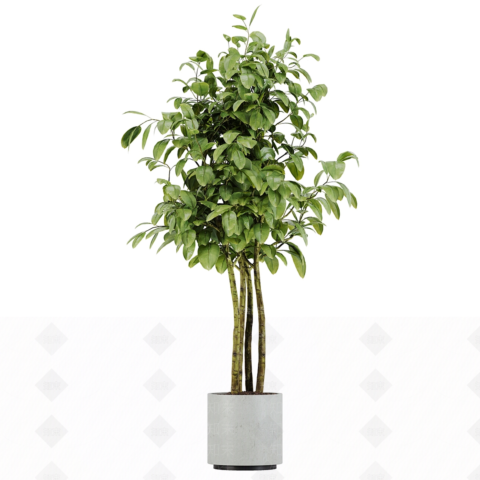 现代欧式花钵3D模型下载【ID:1181430902】