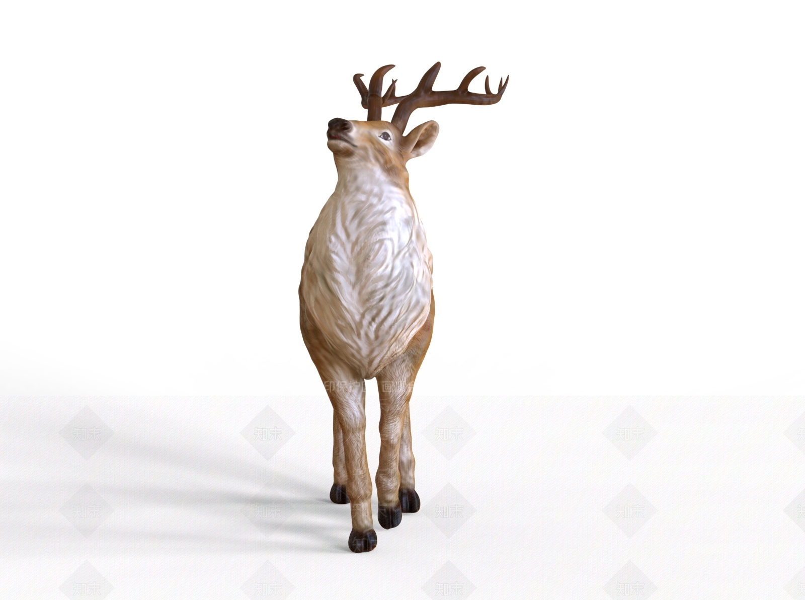 爬行类动物3D模型下载【ID:1181446739】