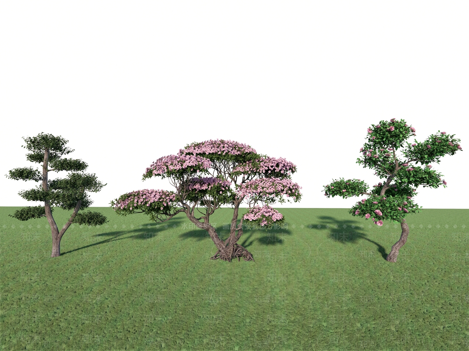 灌木SU模型下载【ID:1181477285】
