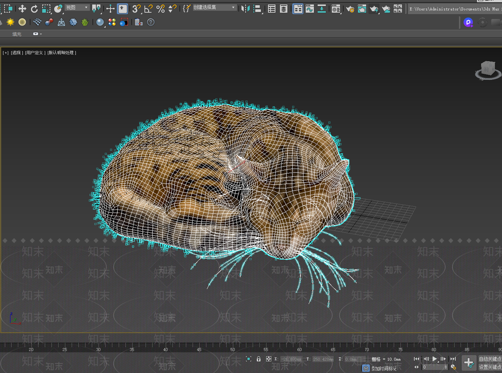 猫3D模型下载【ID:1181534003】