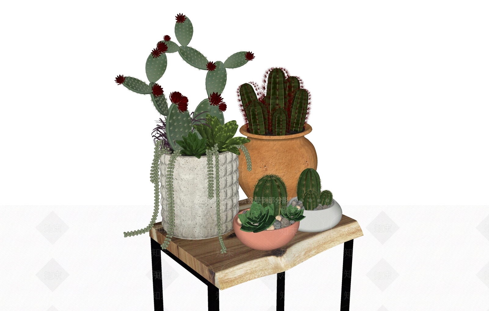 植物组合SU模型下载【ID:1181523868】